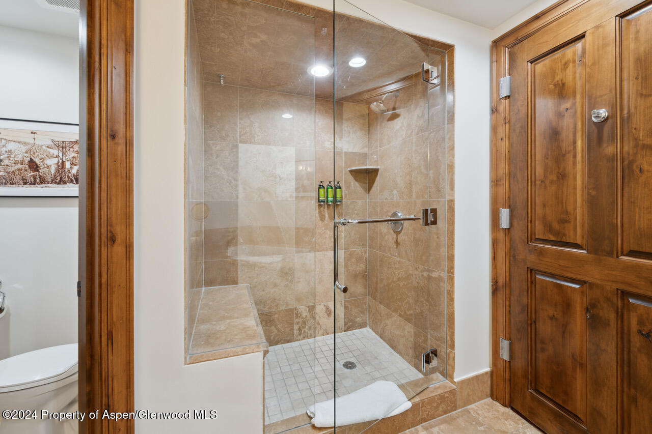 415 E Dean St, Unit 45, Week 12 Aspen CO 81611