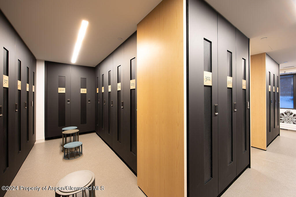 119 Wood Road Snowmass Village CO 81615