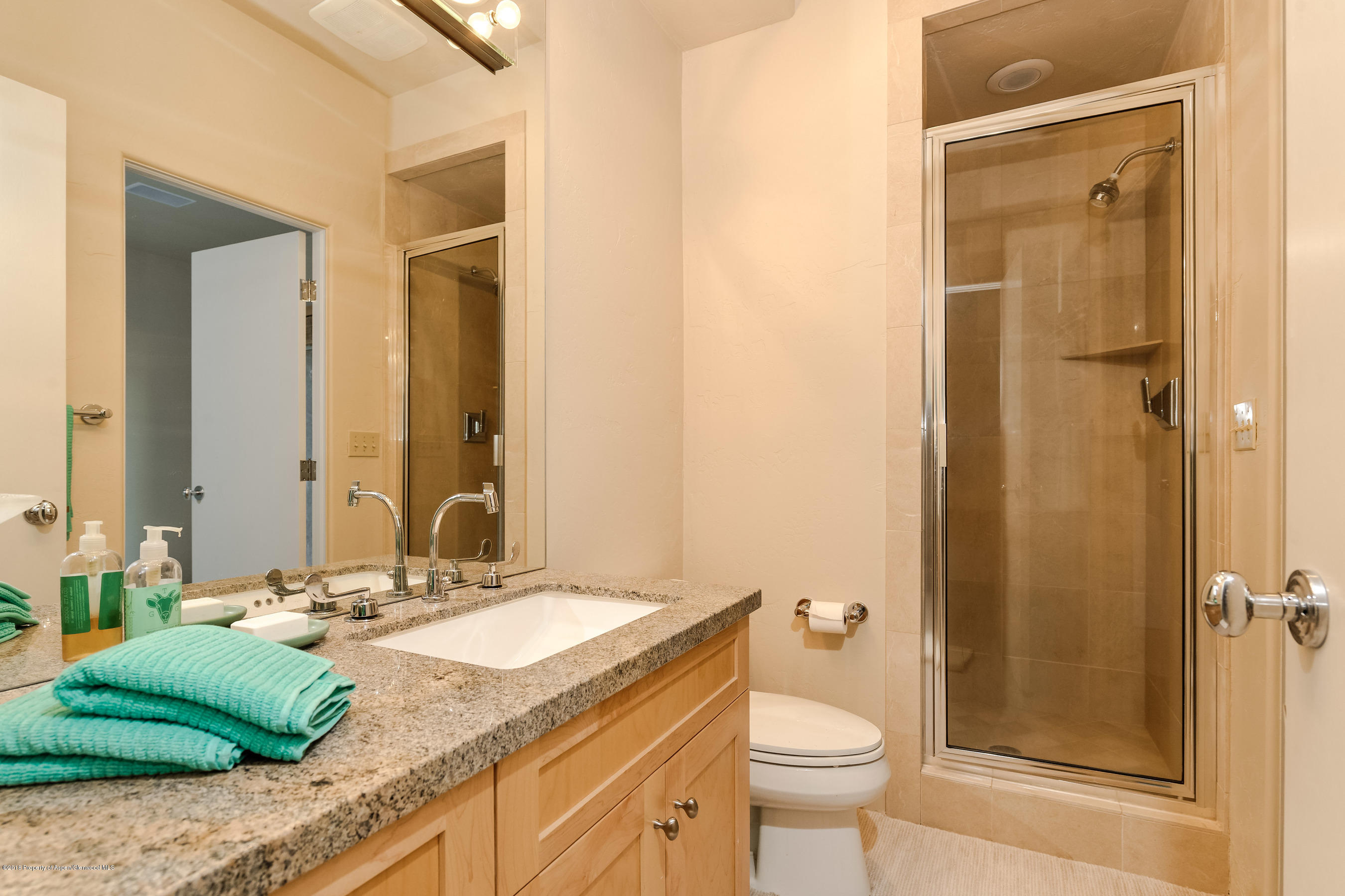 404 Wild Spring Lane Basalt CO 81621