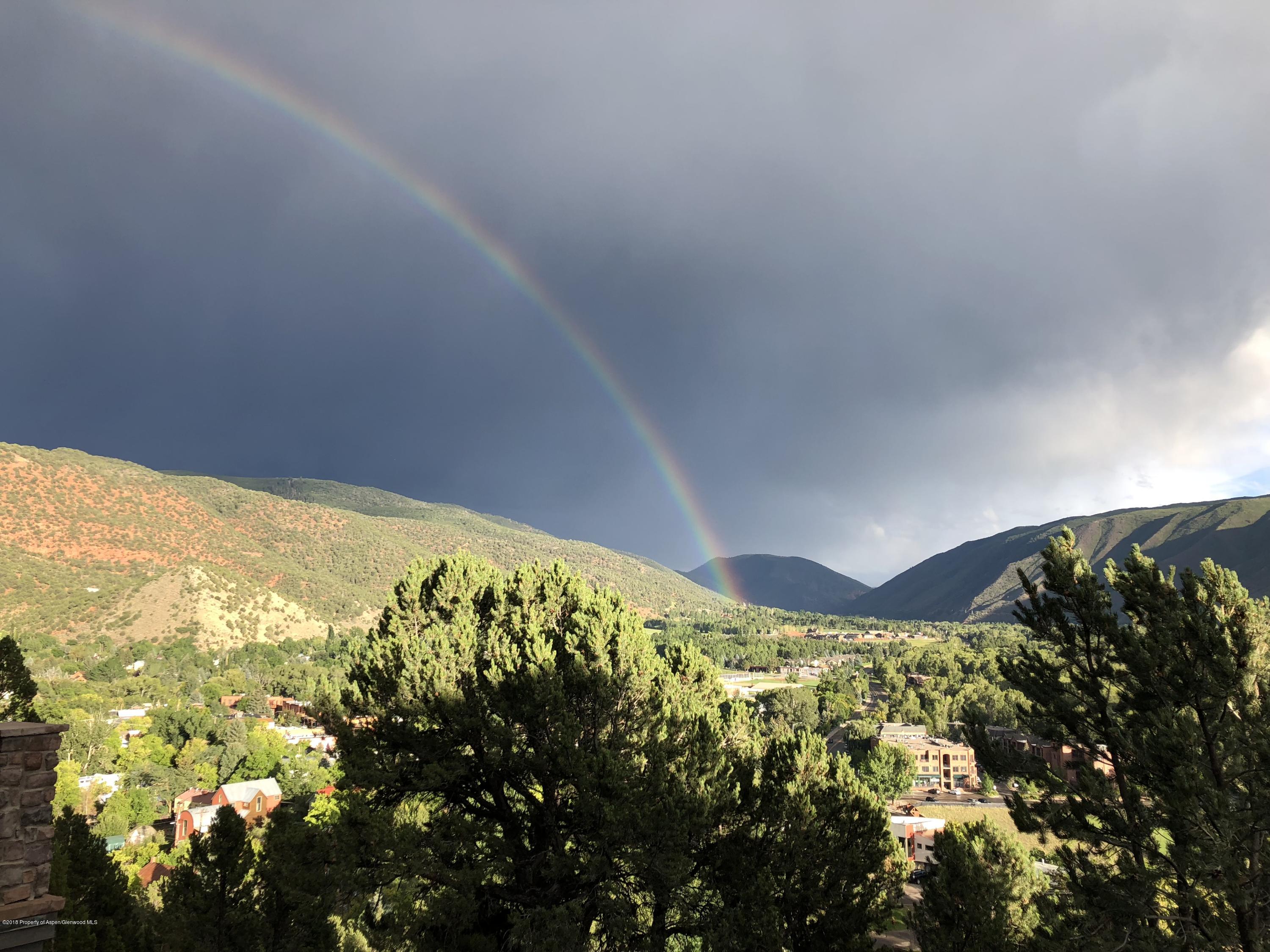 404 Wild Spring Lane Basalt CO 81621