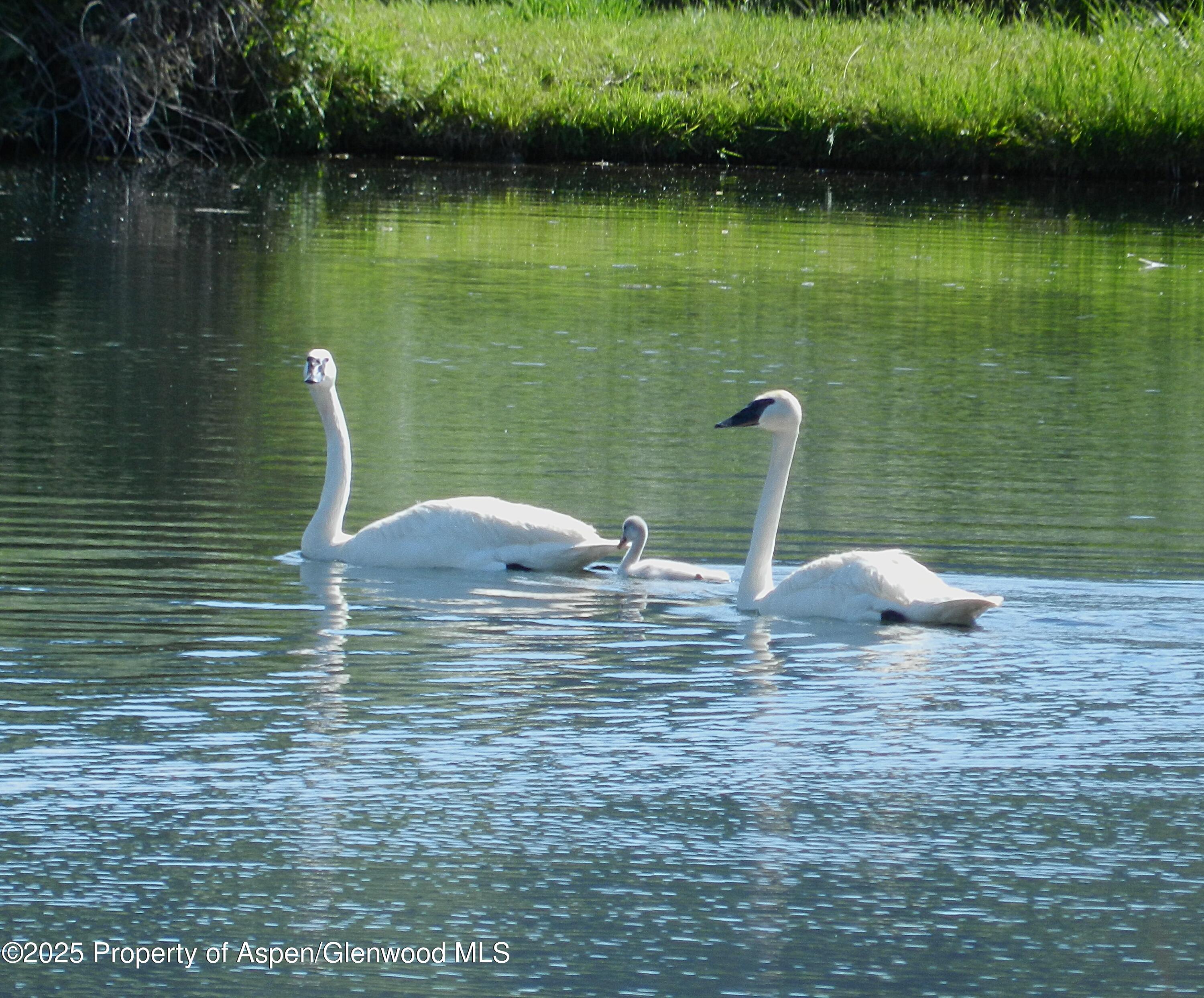 14913 Highway 82 Carbondale CO 81623