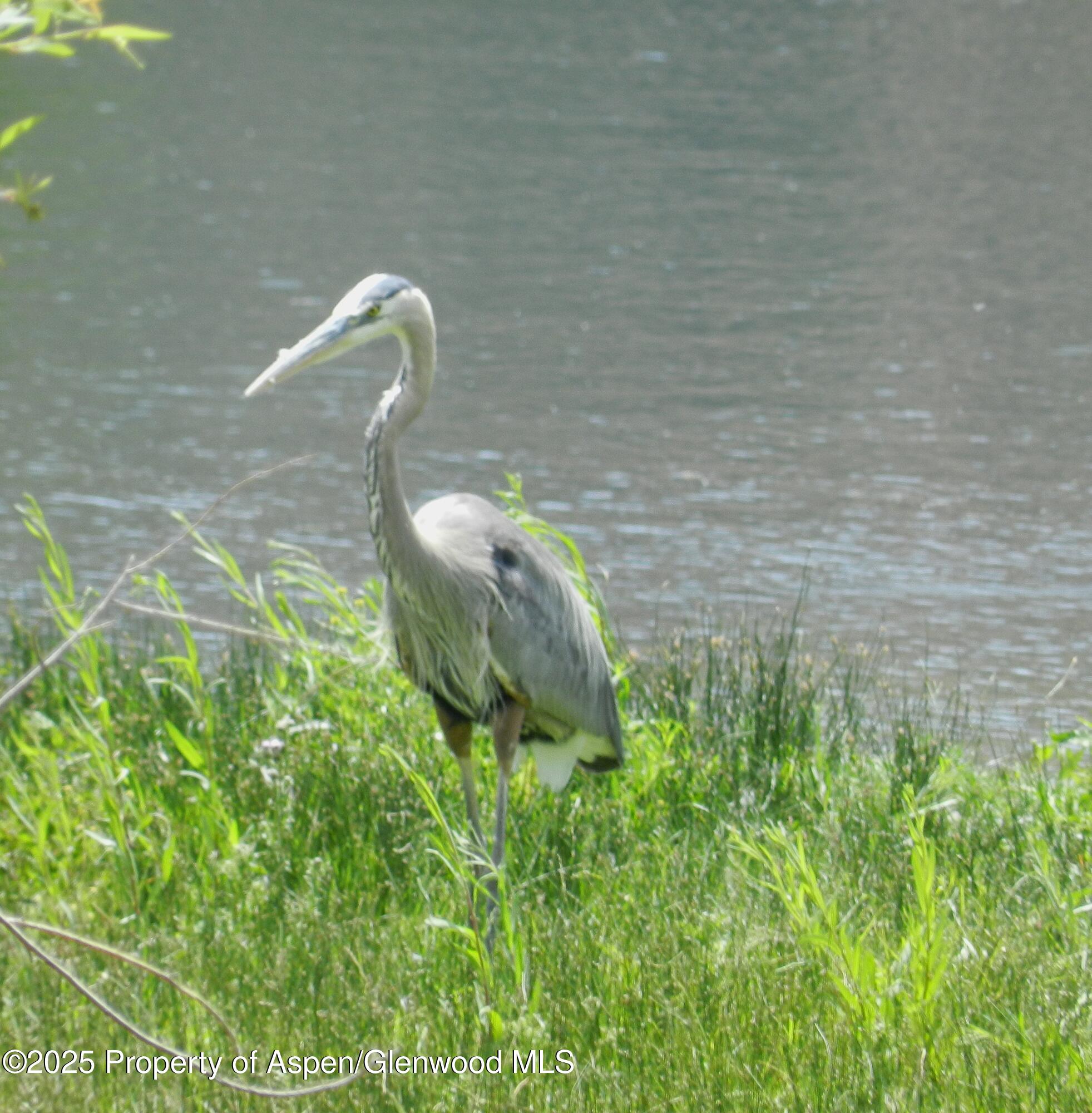 14913 Highway 82 Carbondale CO 81623