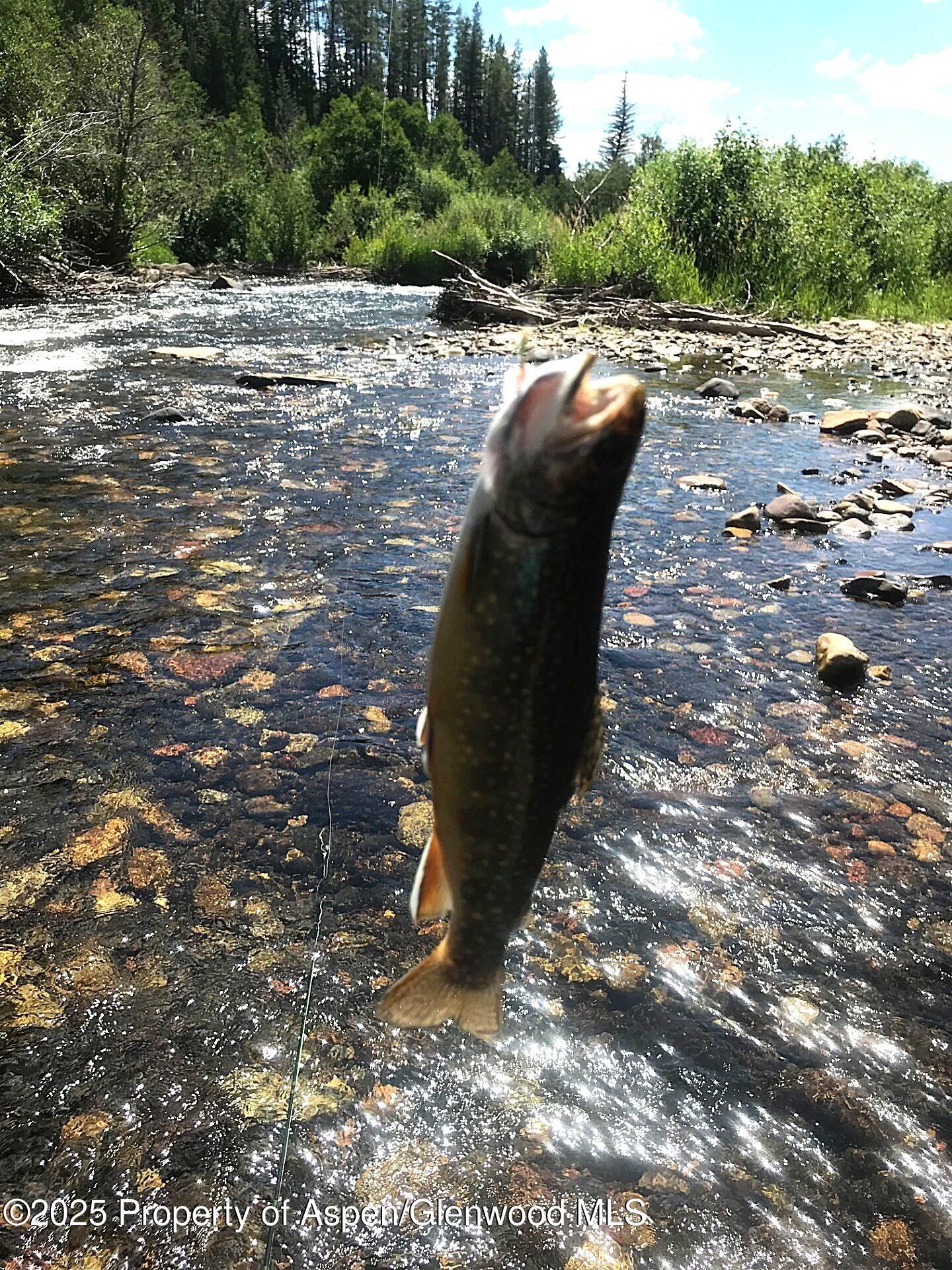 14913 Highway 82 Carbondale CO 81623