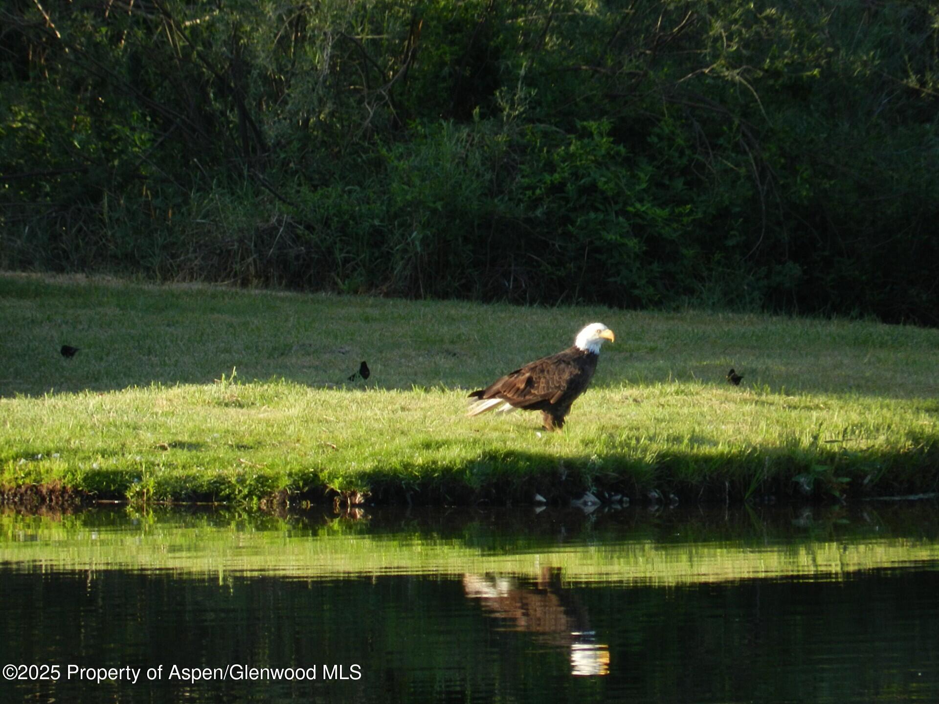 14913 Highway 82 Carbondale CO 81623