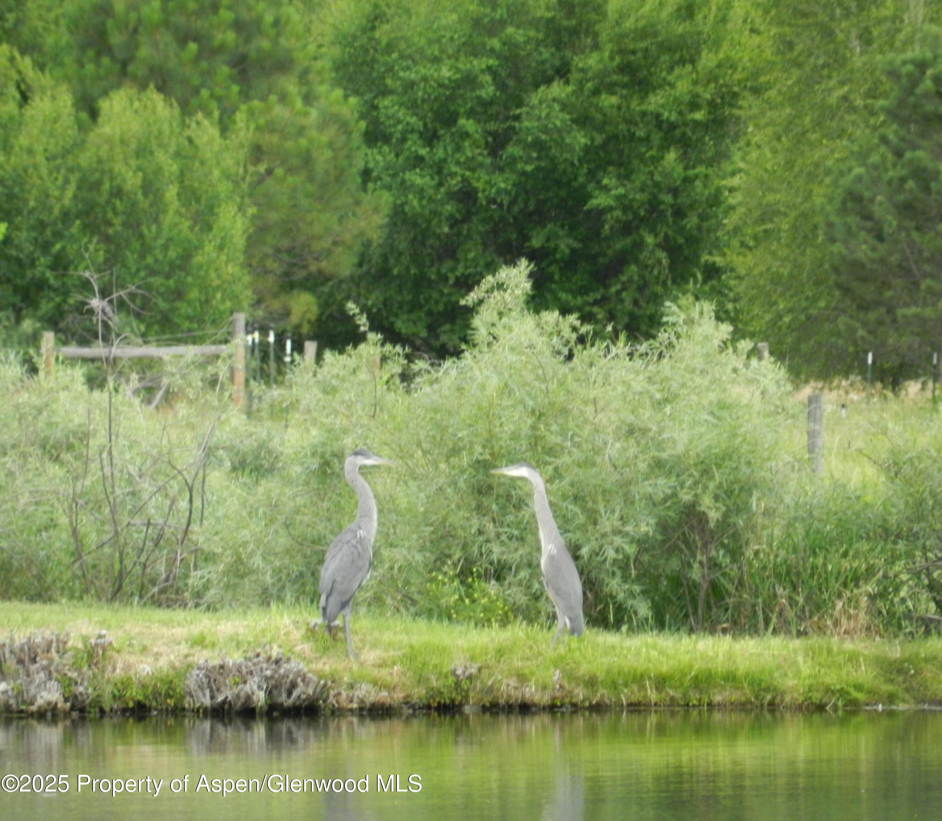 14913 Highway 82 Carbondale CO 81623