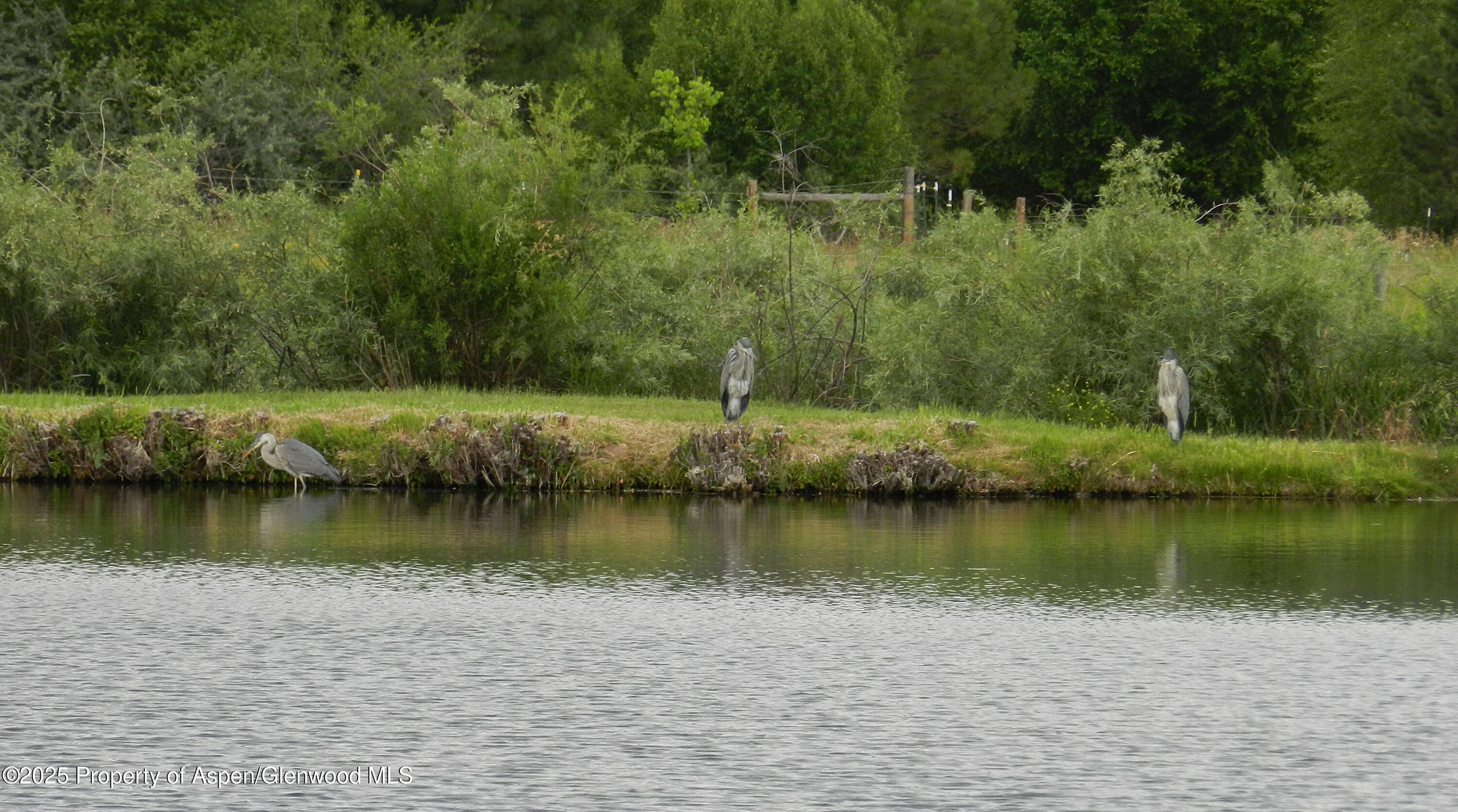 14913 Highway 82 Carbondale CO 81623