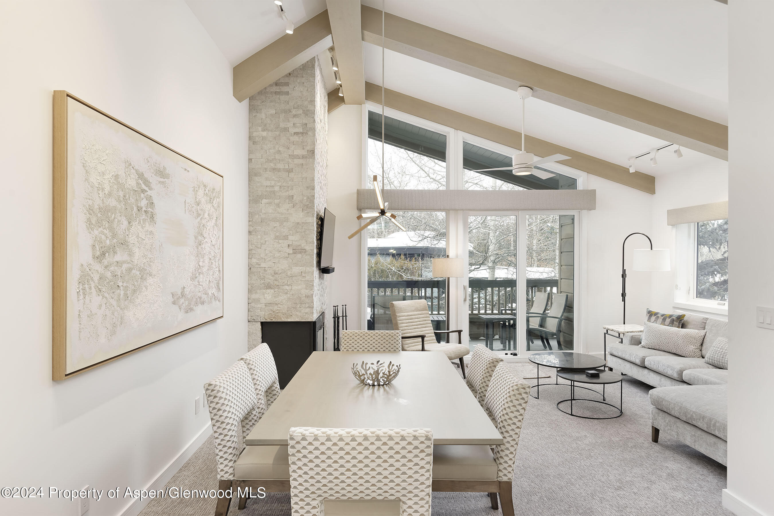 610 S West End Street Aspen CO 81611