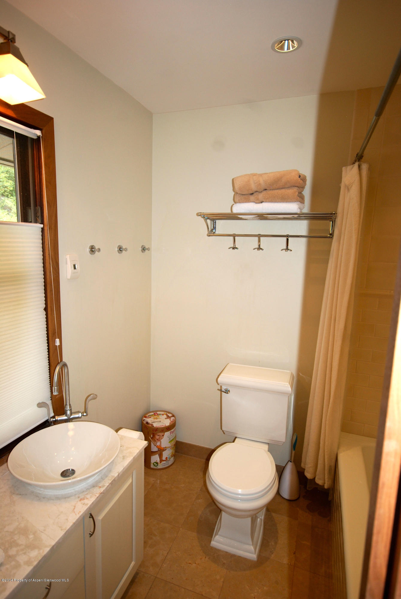 424 Park Circle Aspen CO 81611