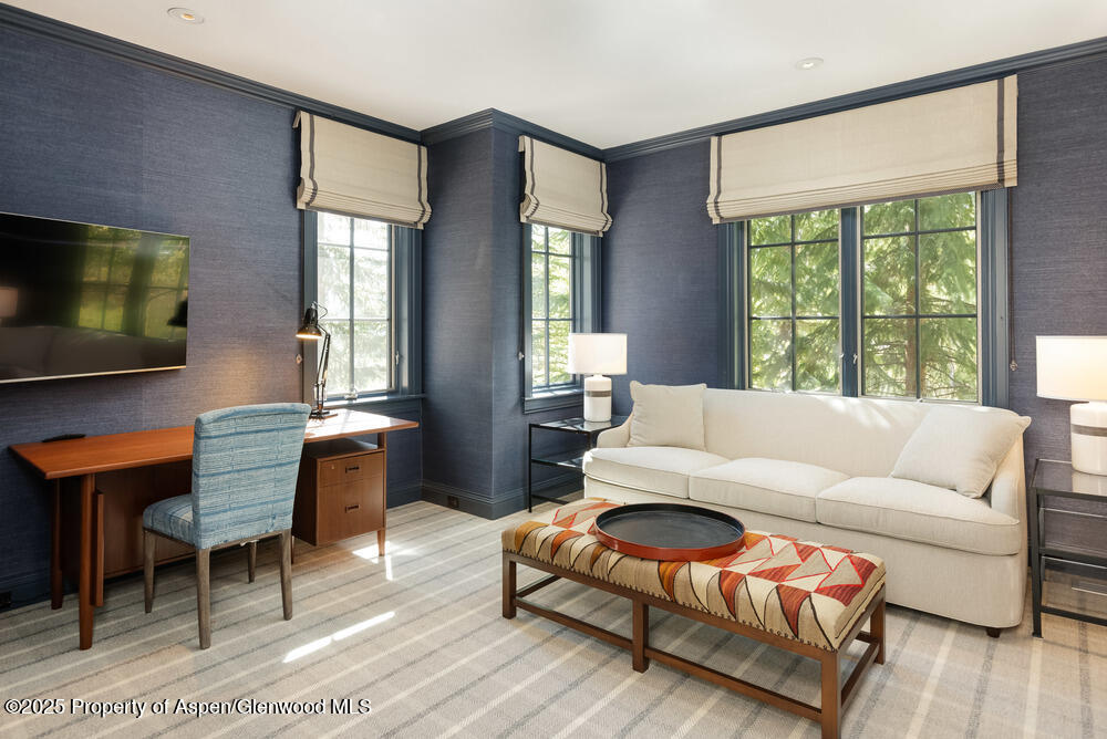 74 Pfister Drive Aspen CO 81611