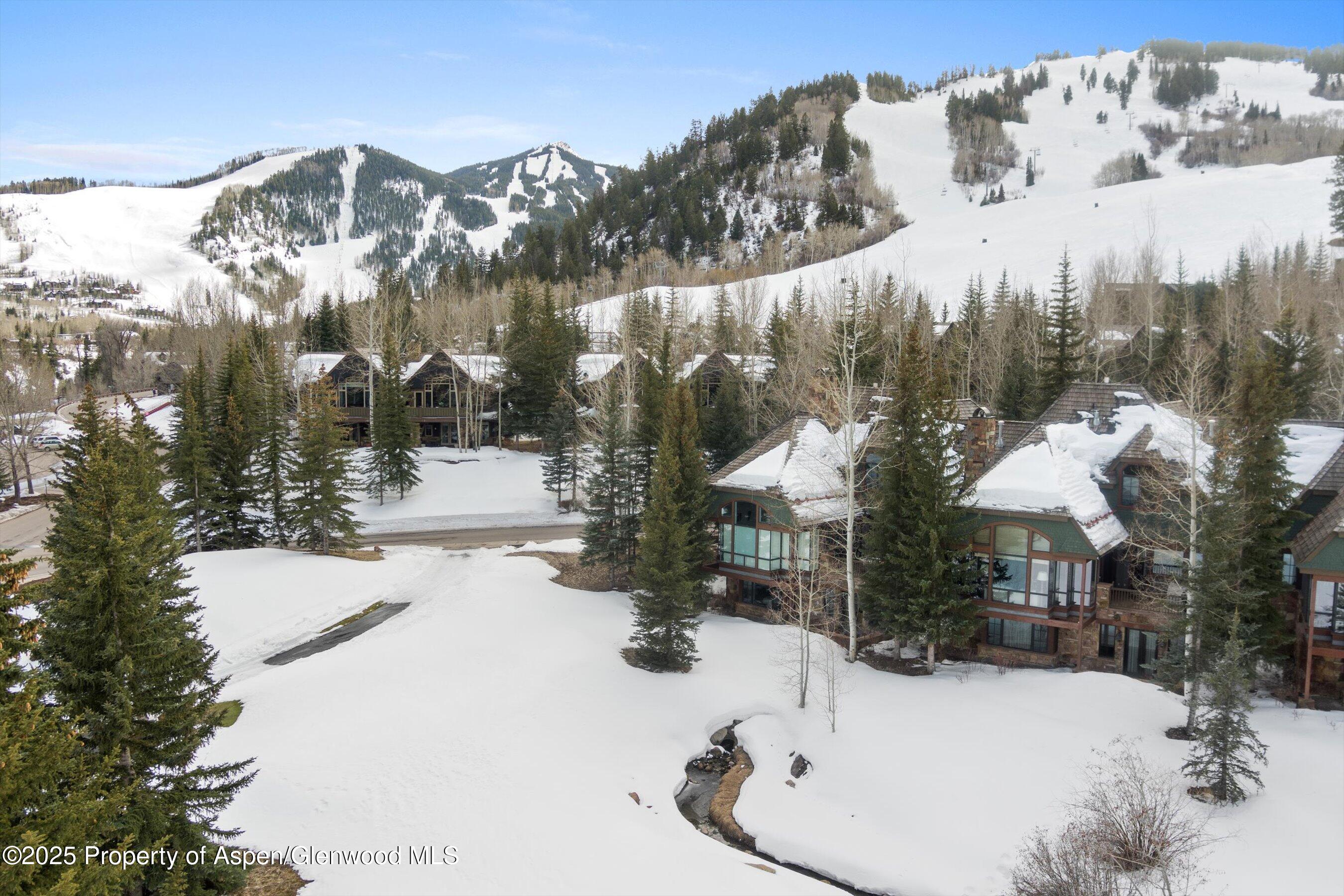 74 Pfister Drive Aspen CO 81611