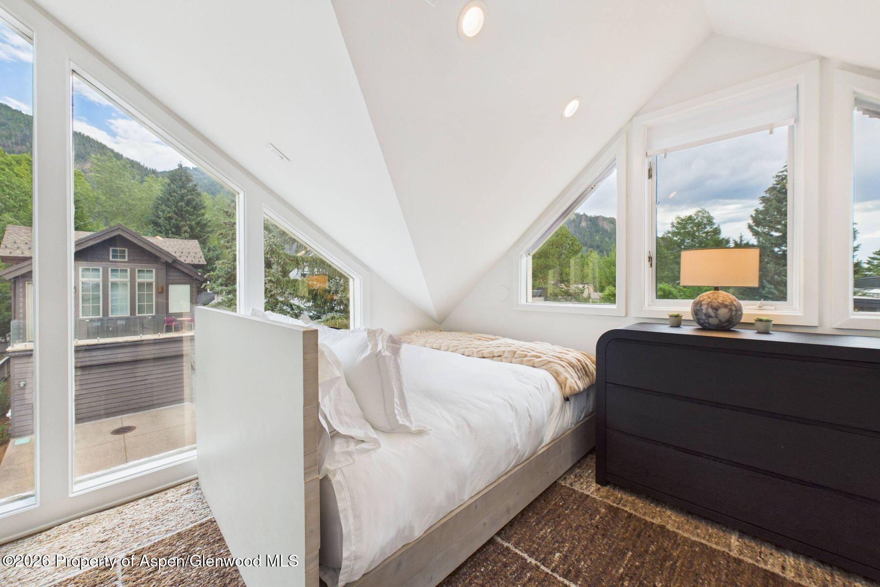 915 E Hopkins Avenue Aspen CO 81611