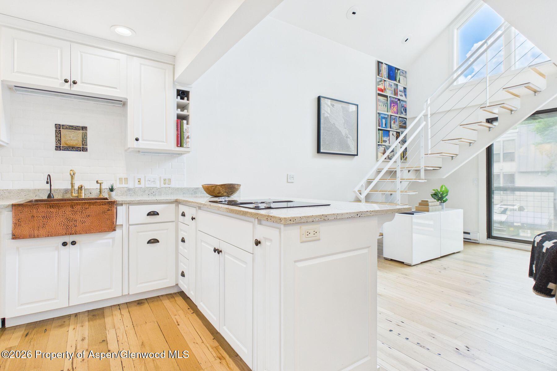 915 E Hopkins Avenue Aspen CO 81611