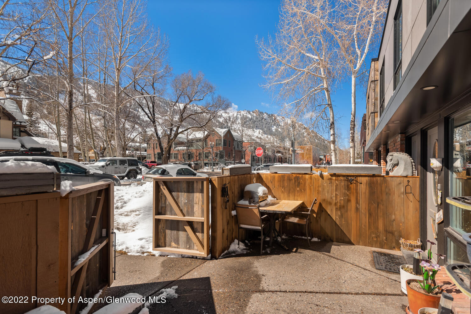 250 S Original Street Aspen CO 81611