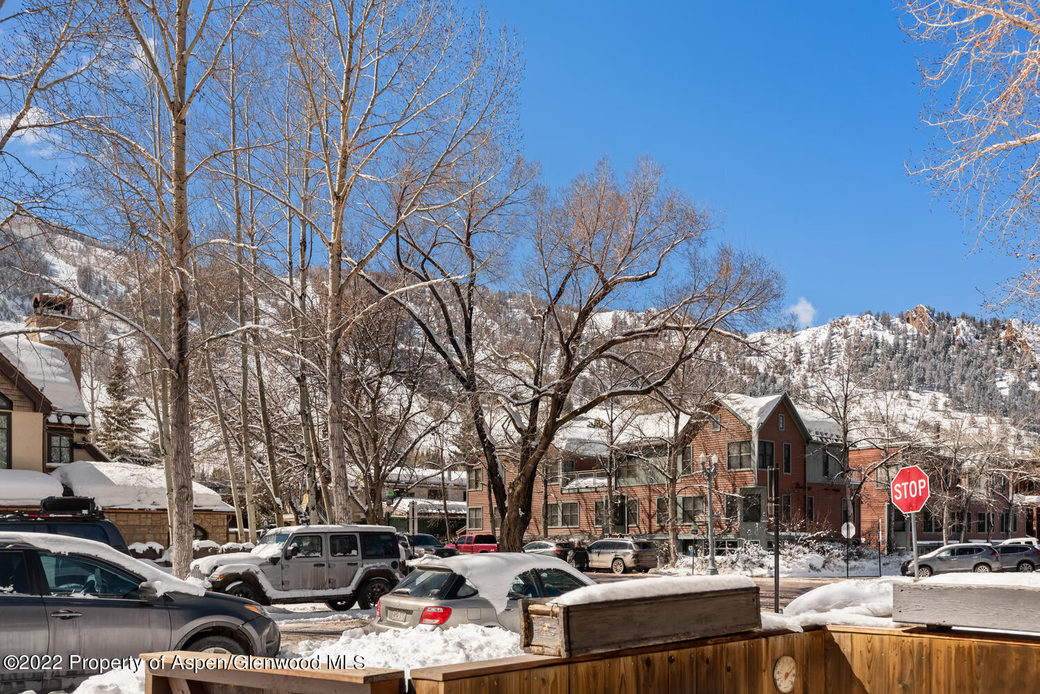 250 S Original Street Aspen CO 81611