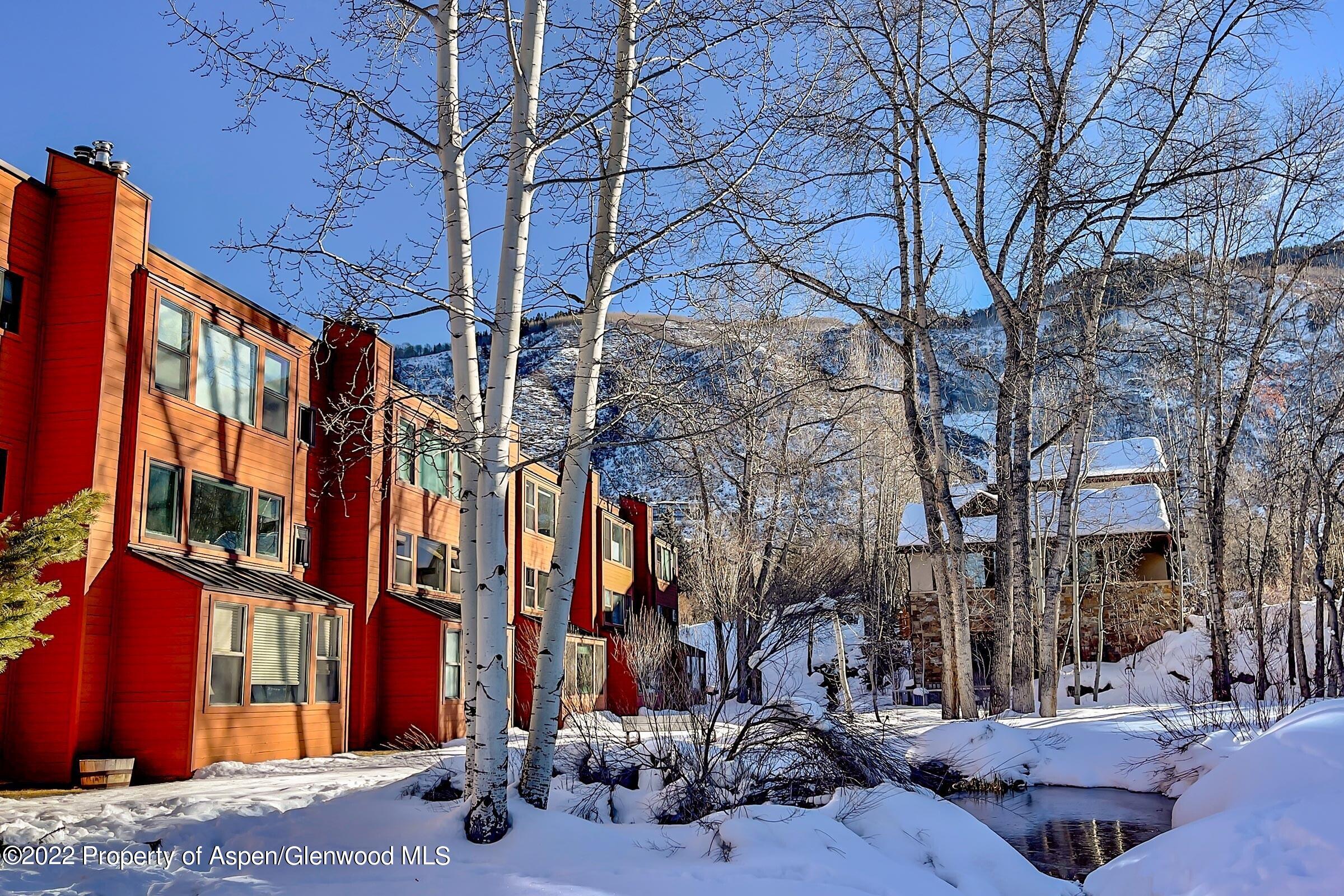 1007 Vine Street Aspen CO 81611