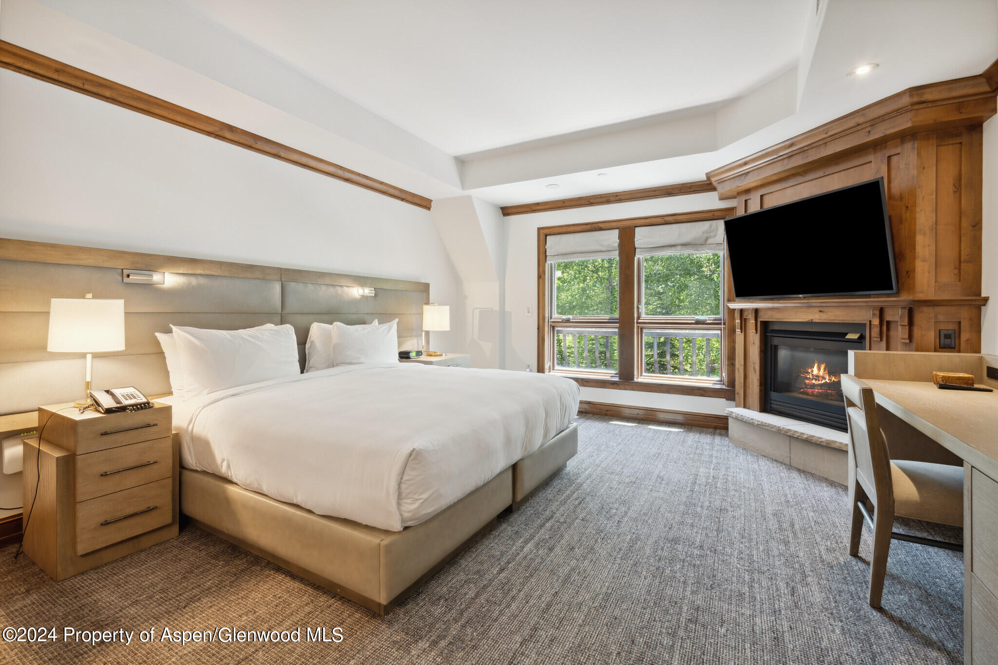 415 E Dean St., Unit 37, Week 6 Aspen CO 81611