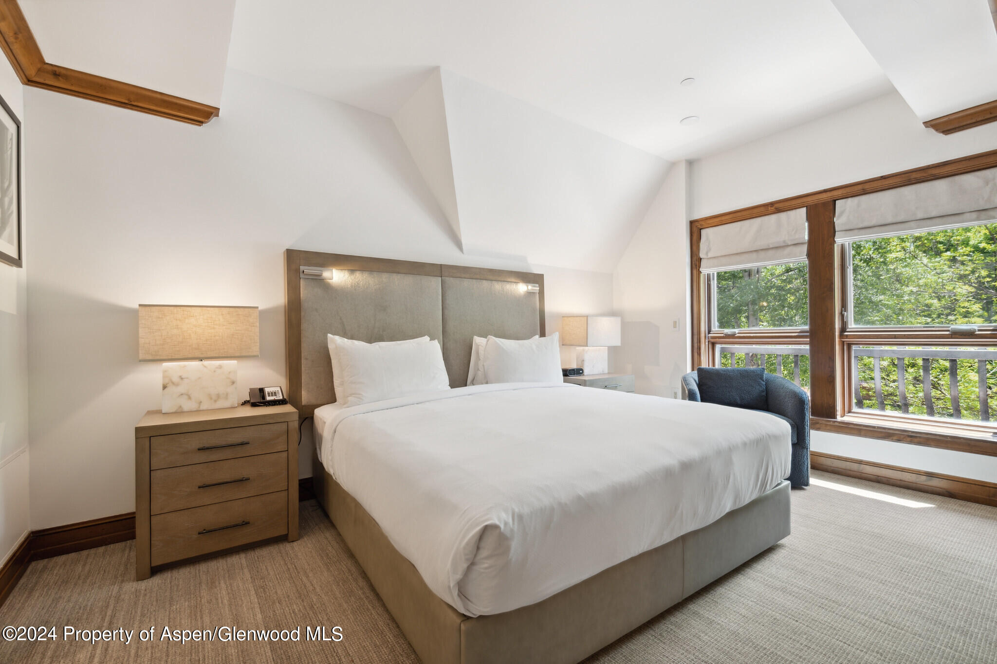 415 E Dean St., Unit 37, Week 6 Aspen CO 81611