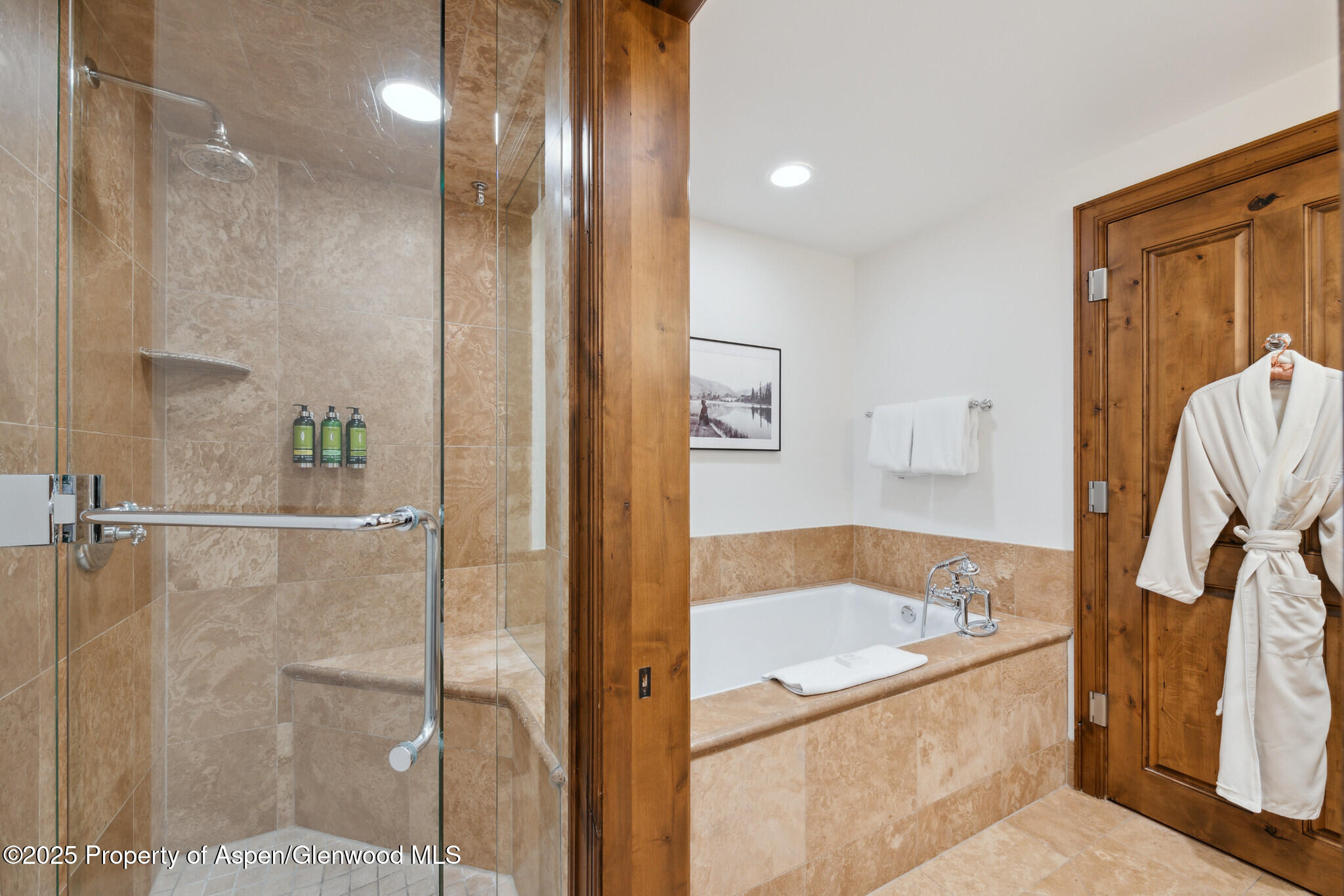 415 E Dean St., Unit 37, Week 6 Aspen CO 81611