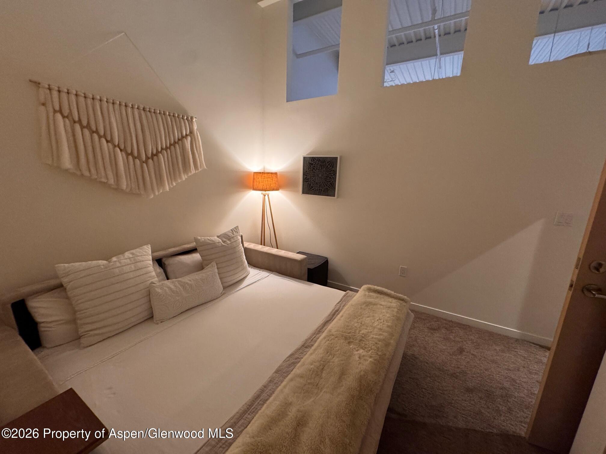 361 Robinson Street Basalt CO 81621