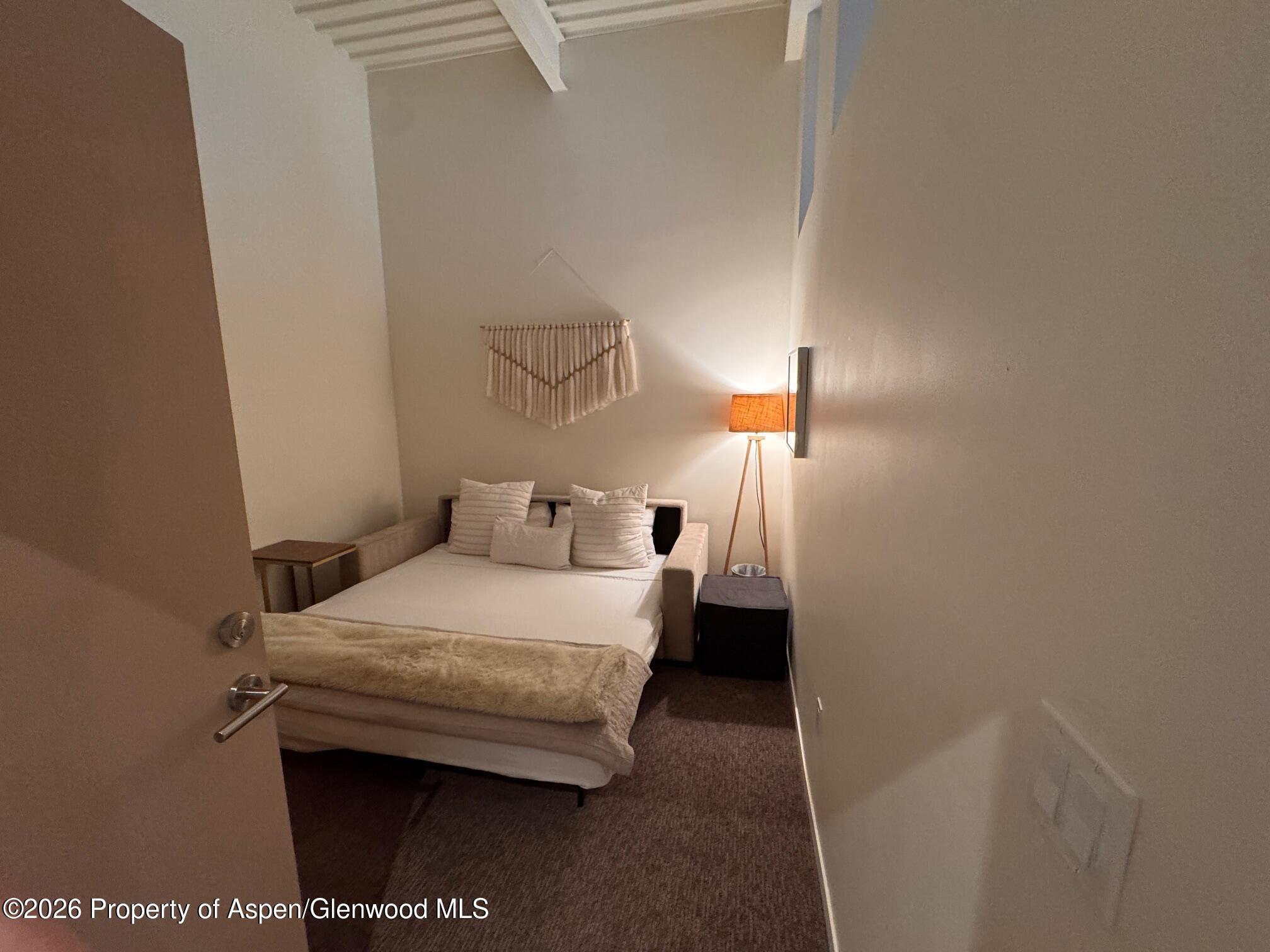 361 Robinson Street Basalt CO 81621