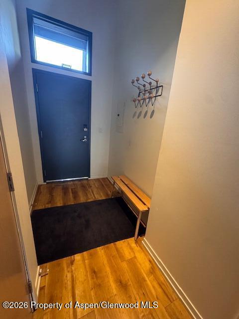 361 Robinson Street Basalt CO 81621