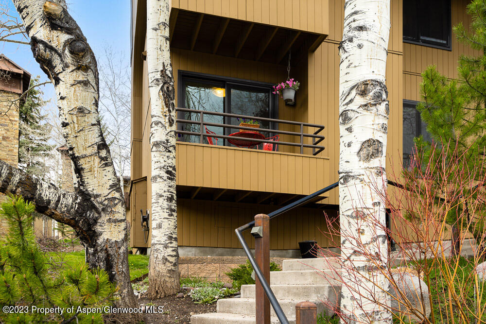 35 Lower Woodbridge Road Snowmass Village CO 81615