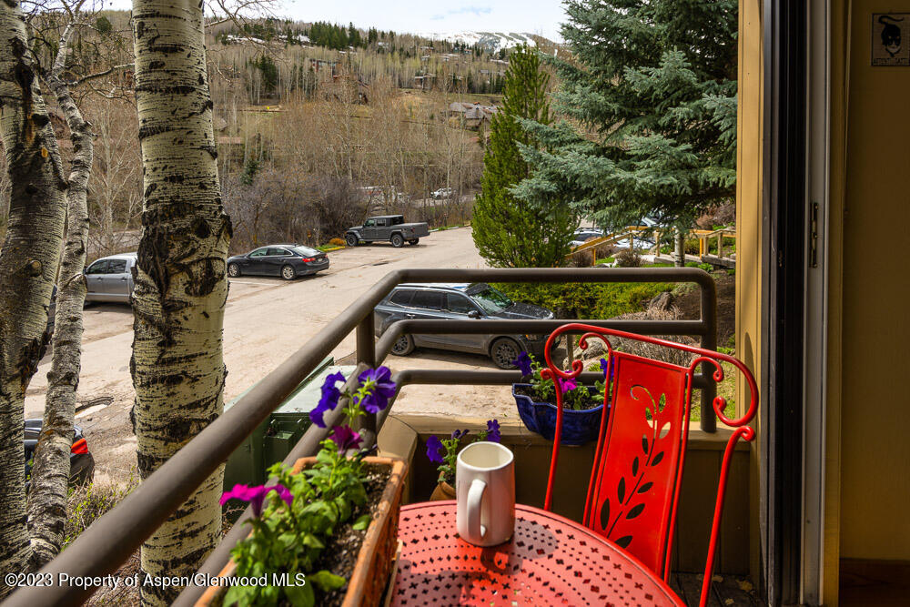 35 Lower Woodbridge Road Snowmass Village CO 81615