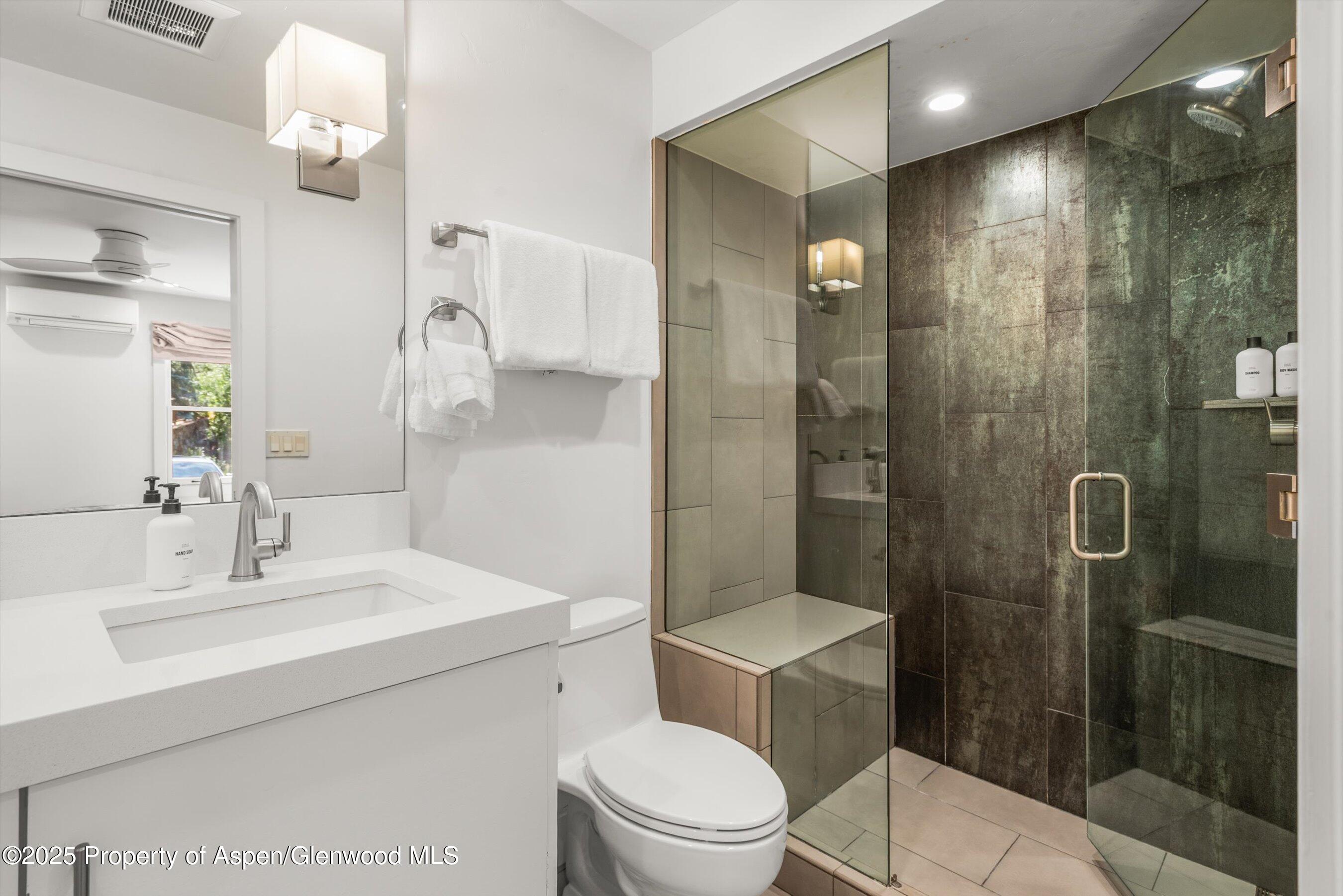 610 S West End Street Aspen CO 81611