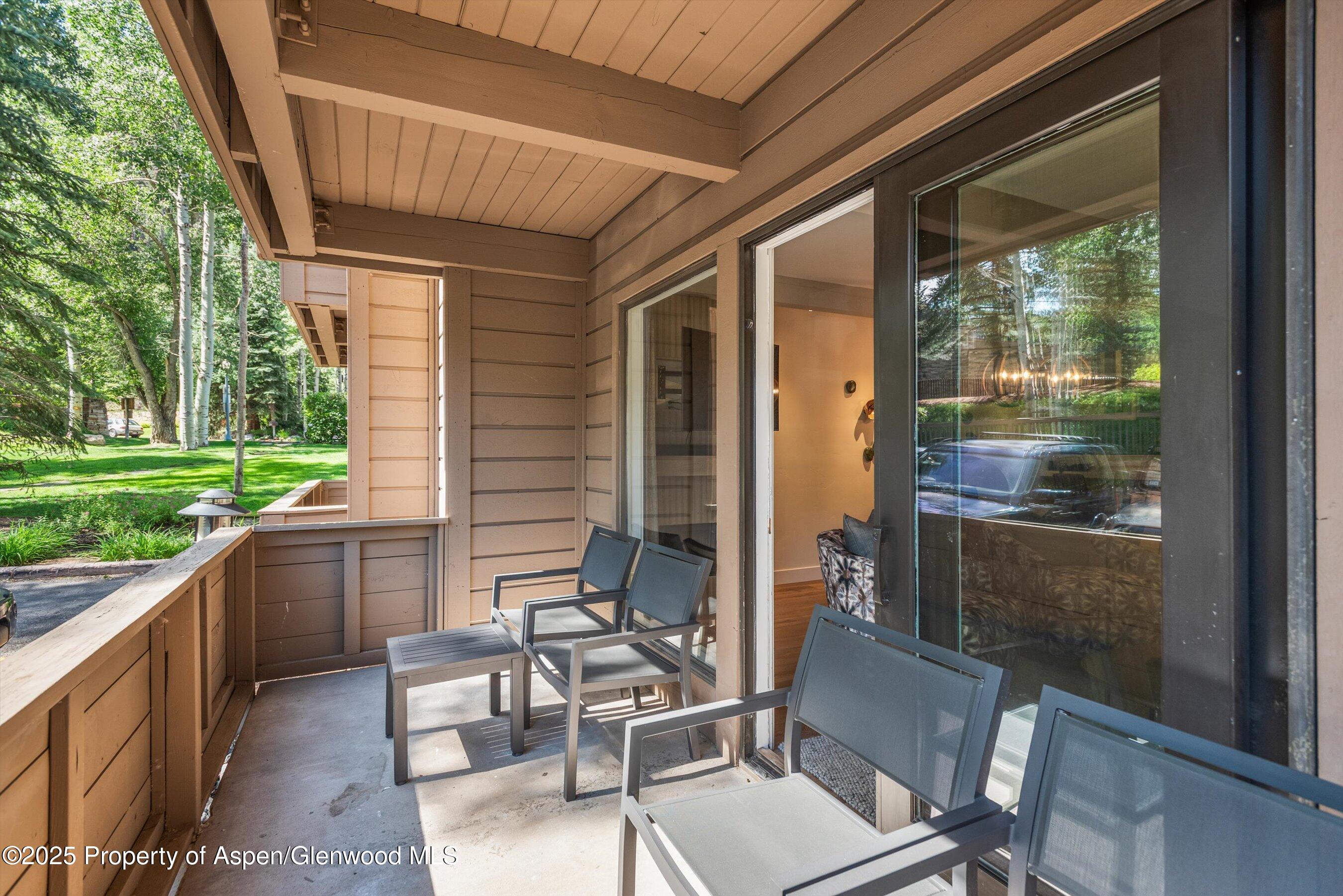 610 S West End Street Aspen CO 81611