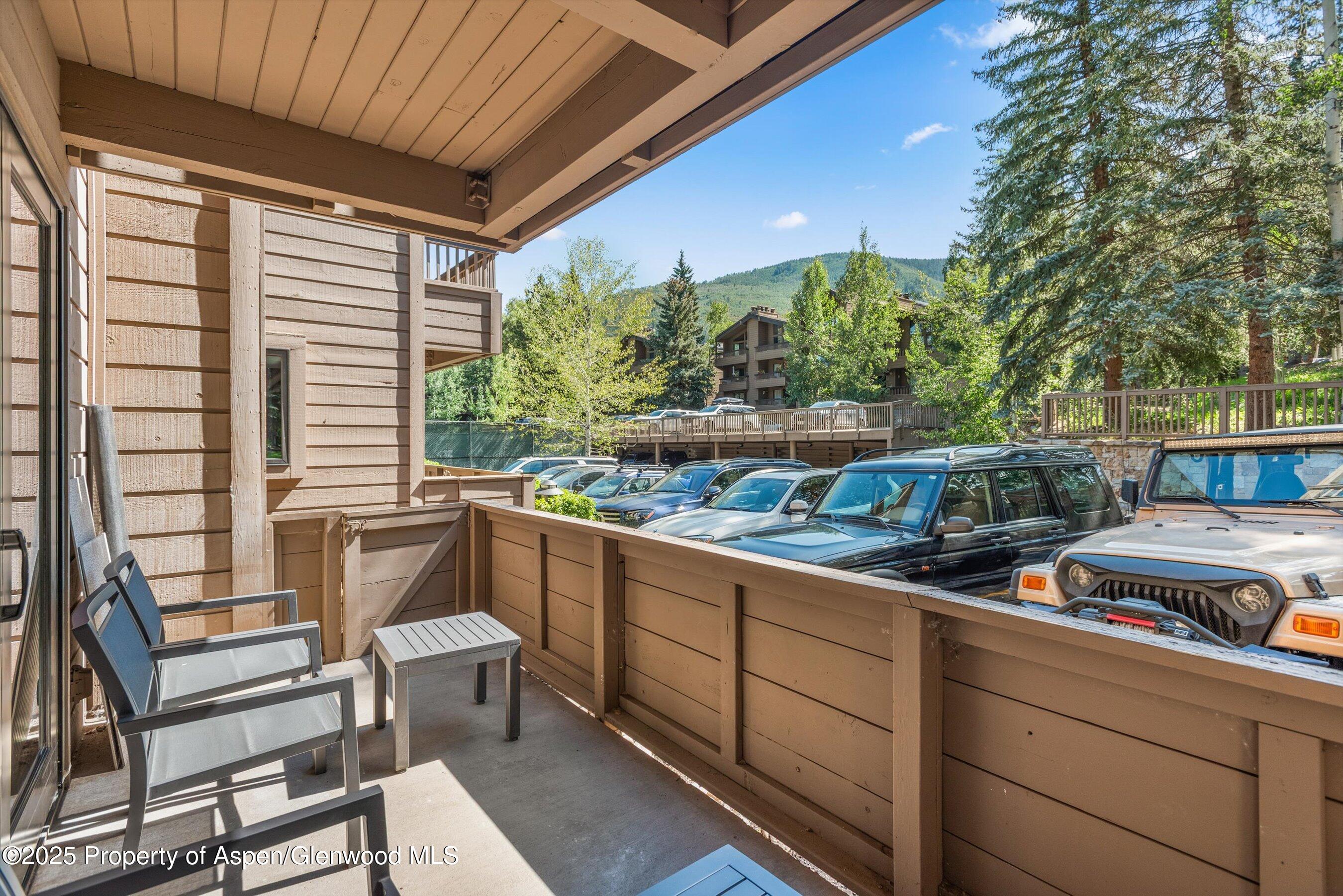 610 S West End Street Aspen CO 81611