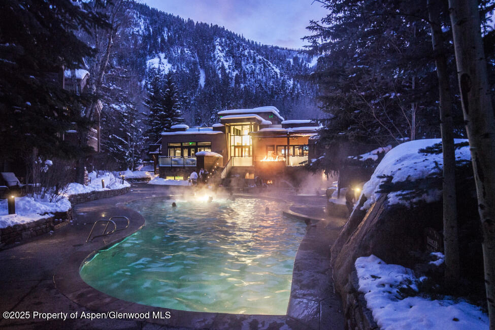 610 S West End Street Aspen CO 81611