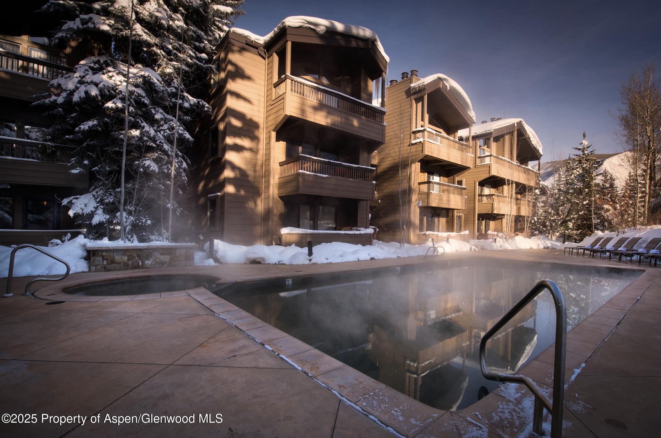 610 S West End Street Aspen CO 81611