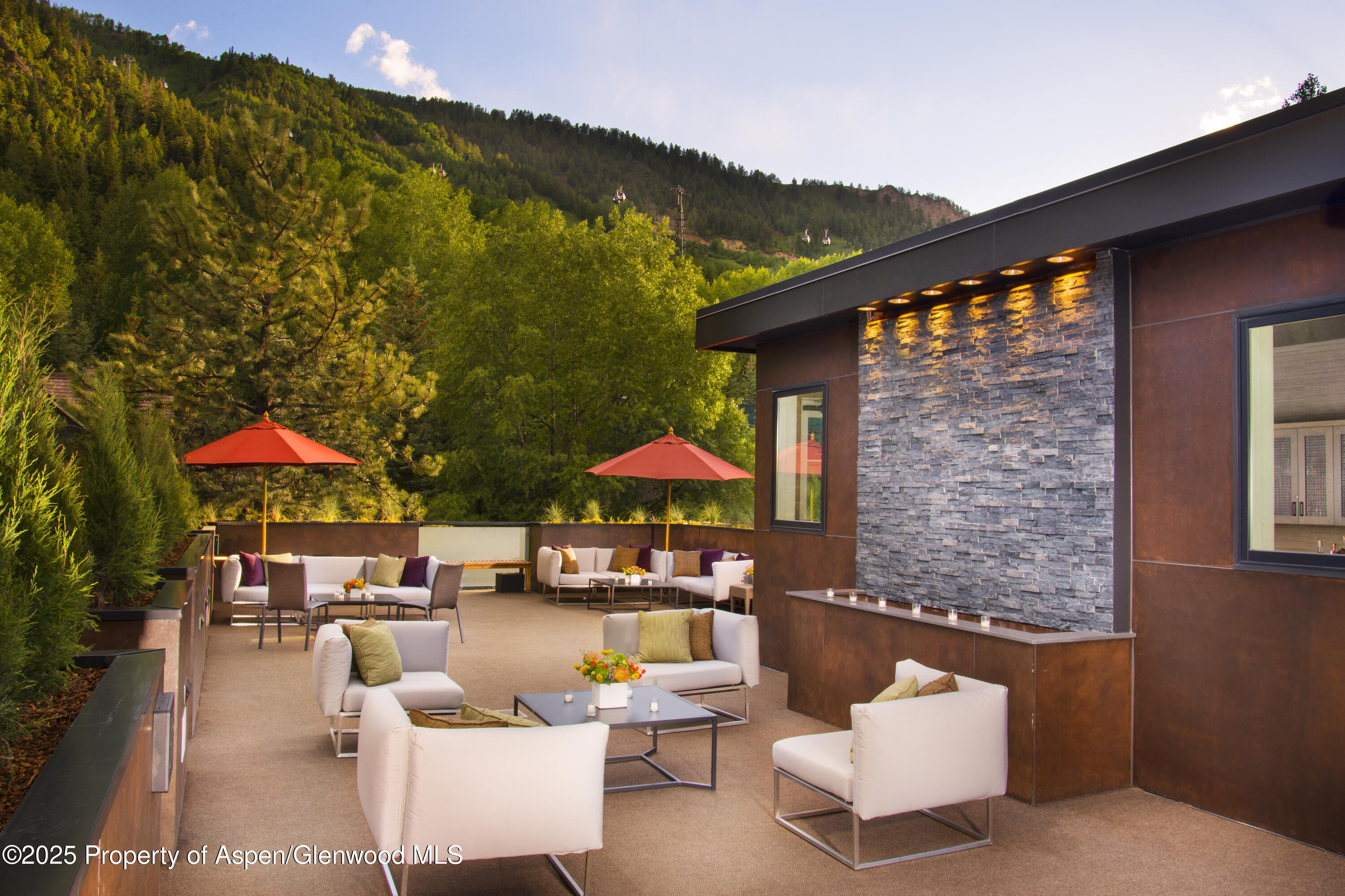 610 S West End Street Aspen CO 81611