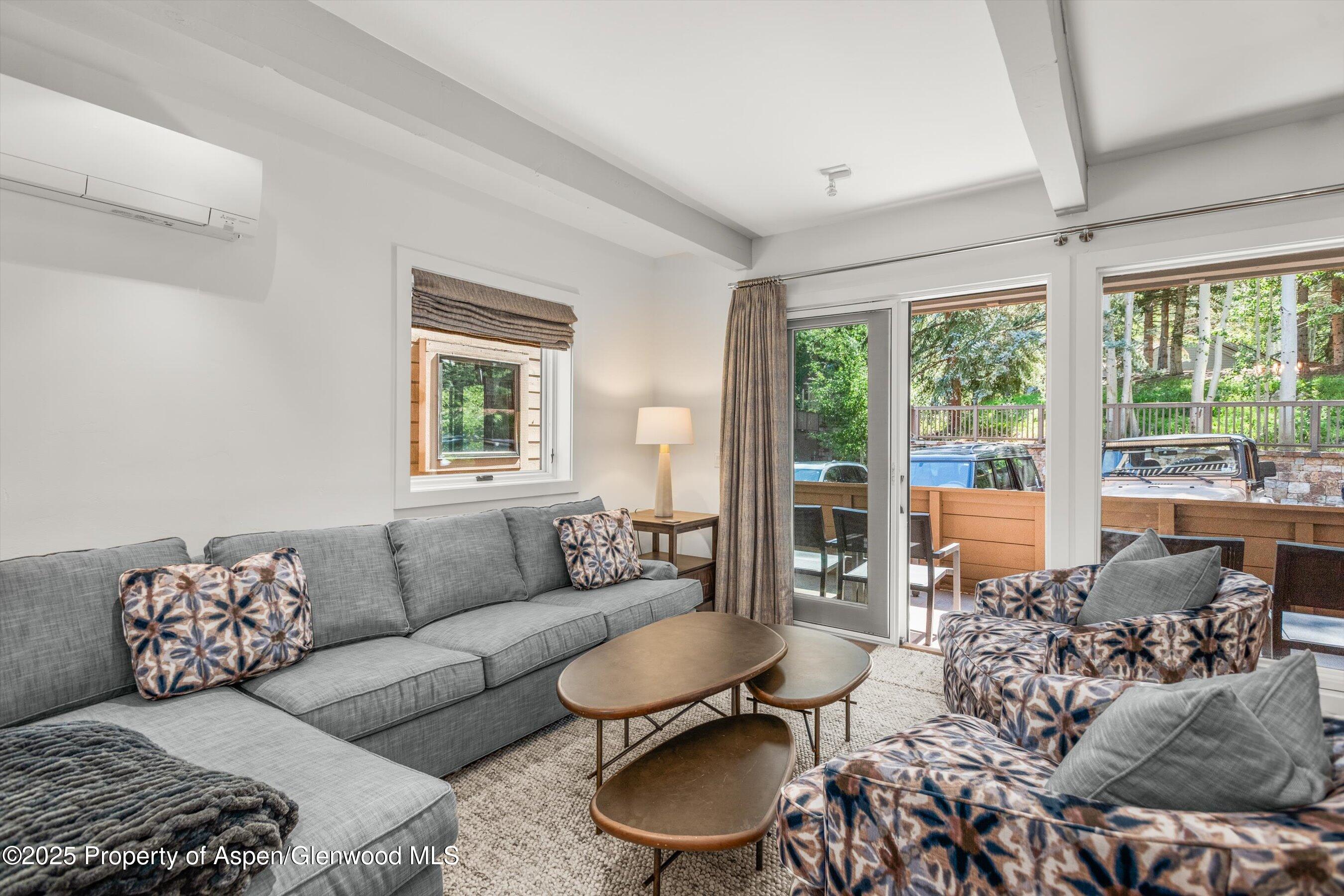 610 S West End Street Aspen CO 81611