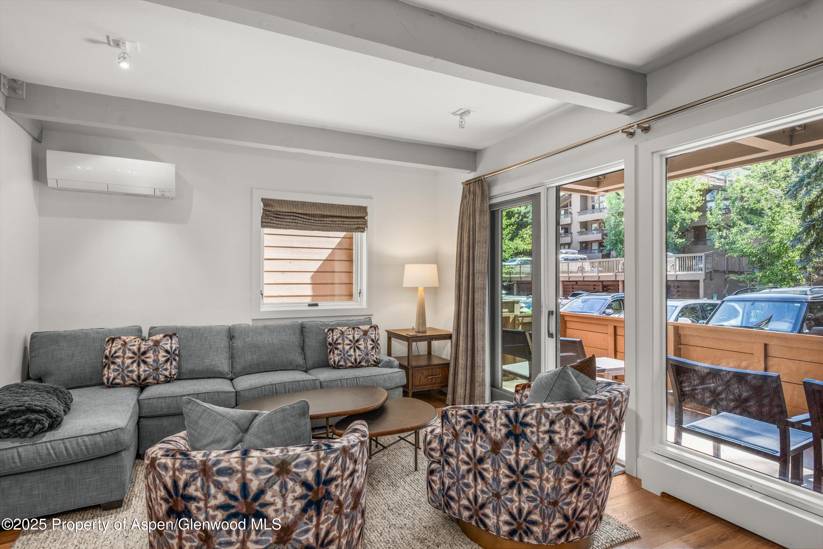 610 S West End Street Aspen CO 81611