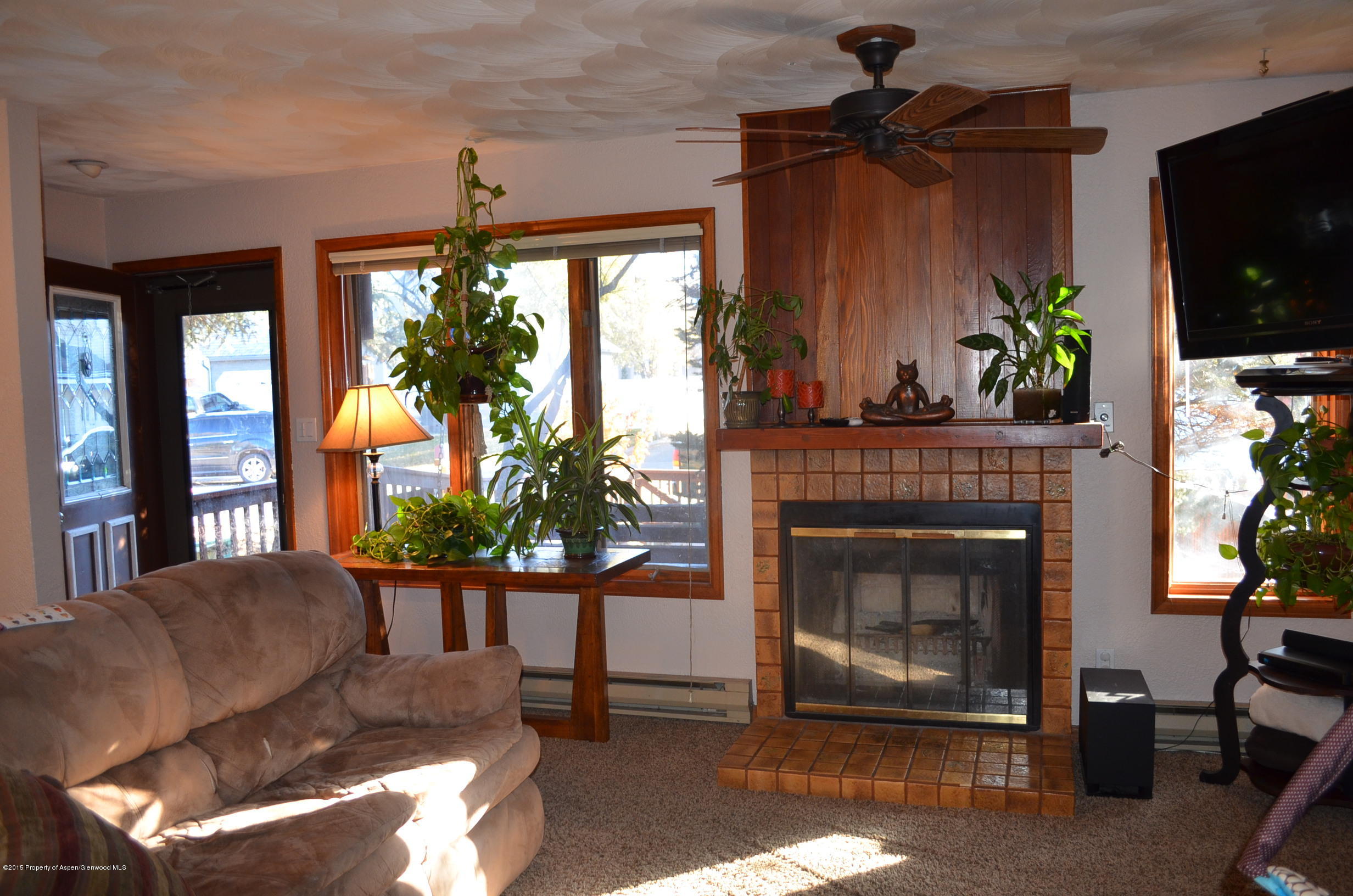 1004 Wheel Circle Carbondale CO 81623