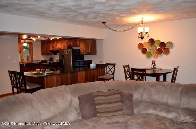 1004 Wheel Circle Carbondale CO 81623