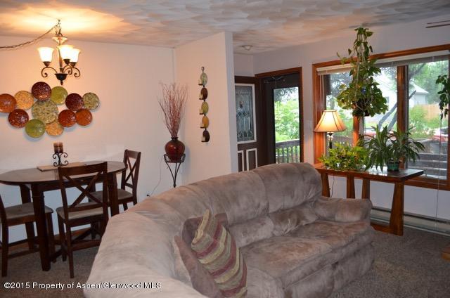 1004 Wheel Circle Carbondale CO 81623