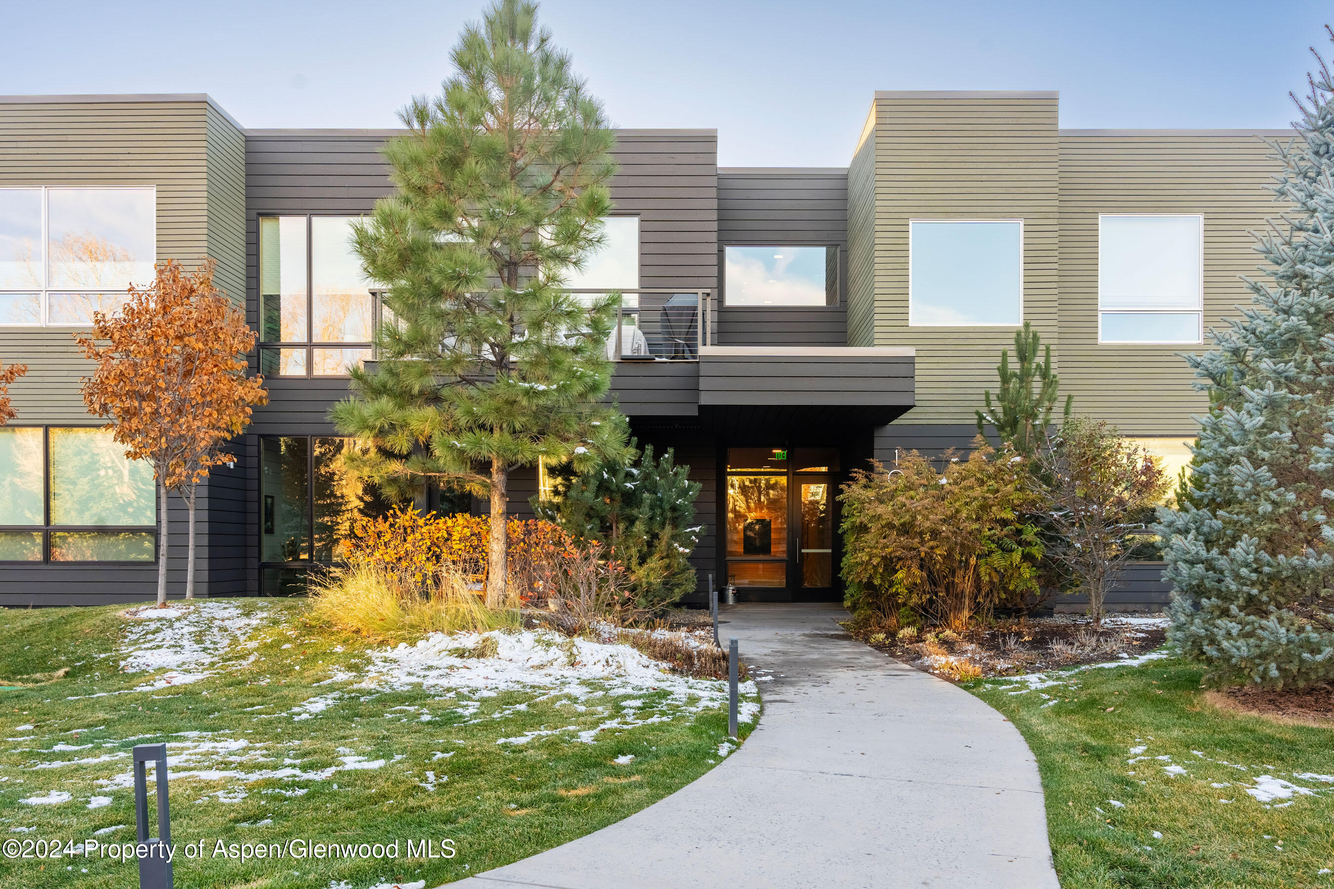 101 Willits Way Basalt CO 81621