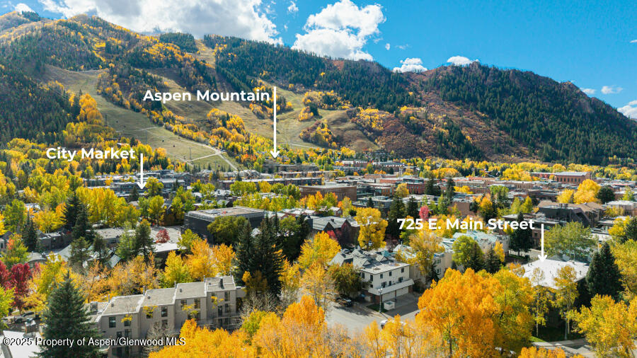 725 E Main Street Aspen CO 81611
