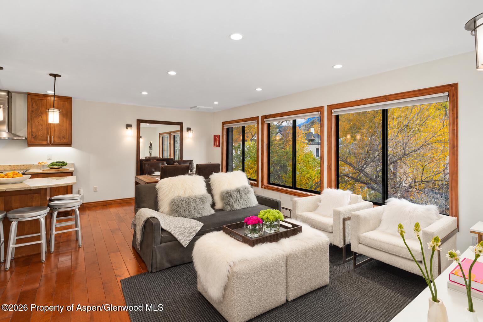725 E Main Street Aspen CO 81611