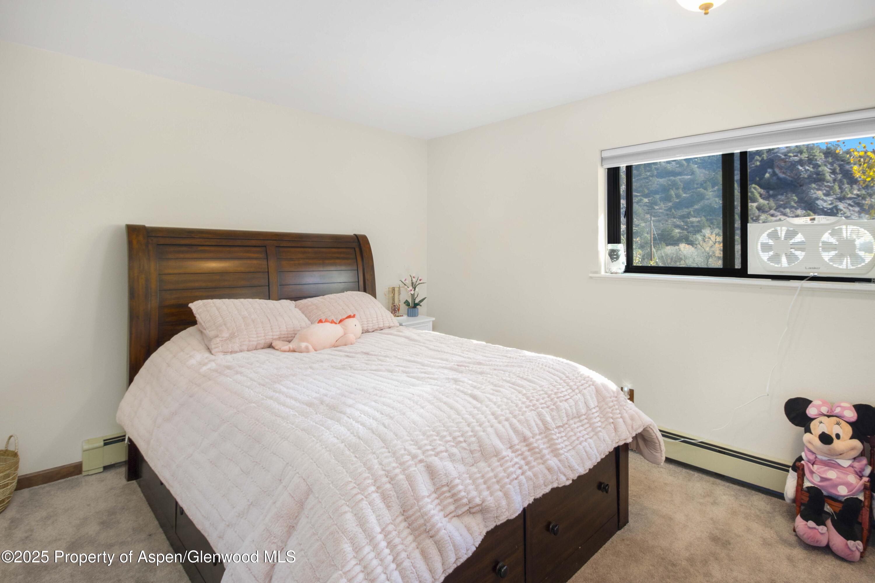 89 N Meadow View Court Glenwood Springs CO 81601