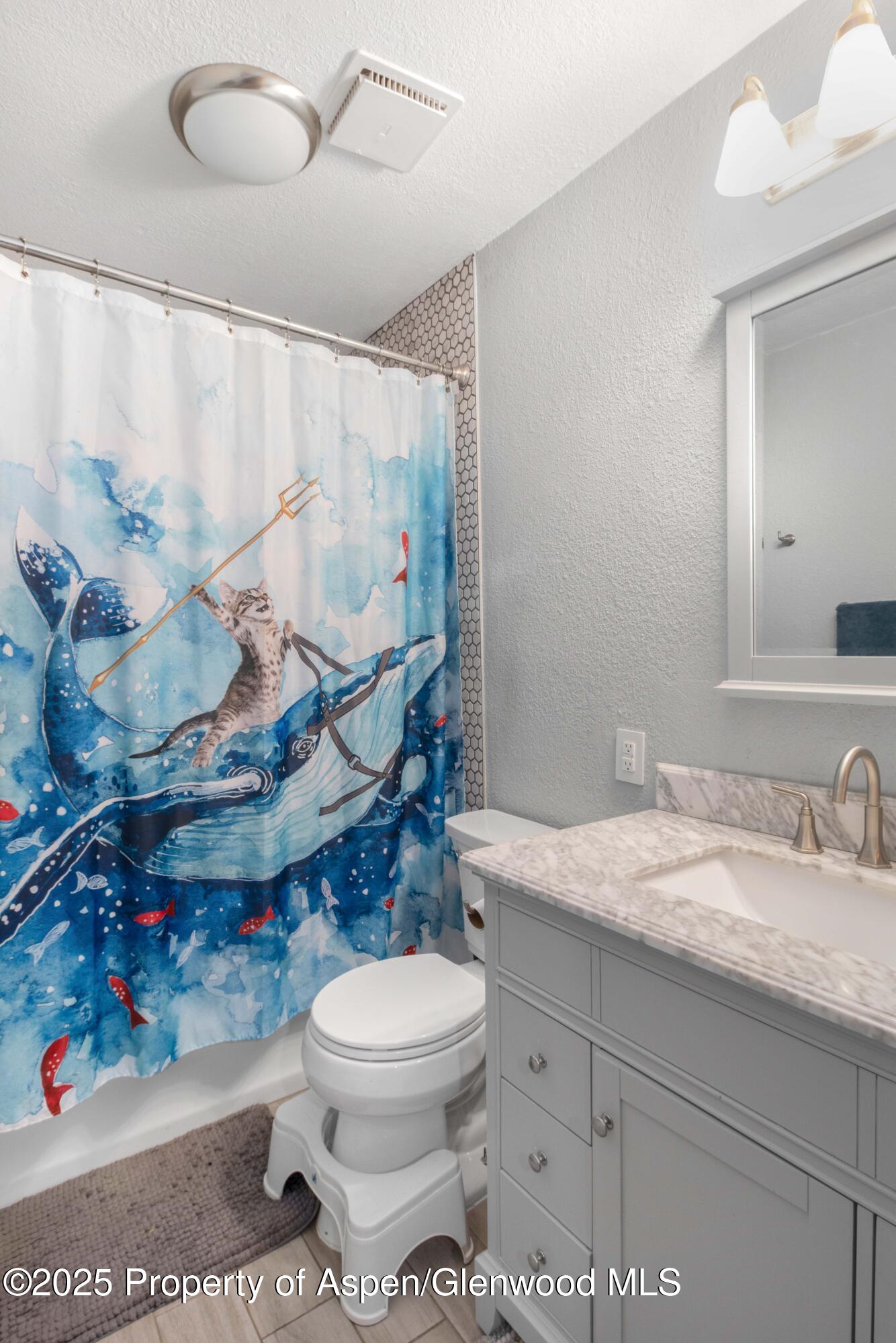 89 N Meadow View Court Glenwood Springs CO 81601