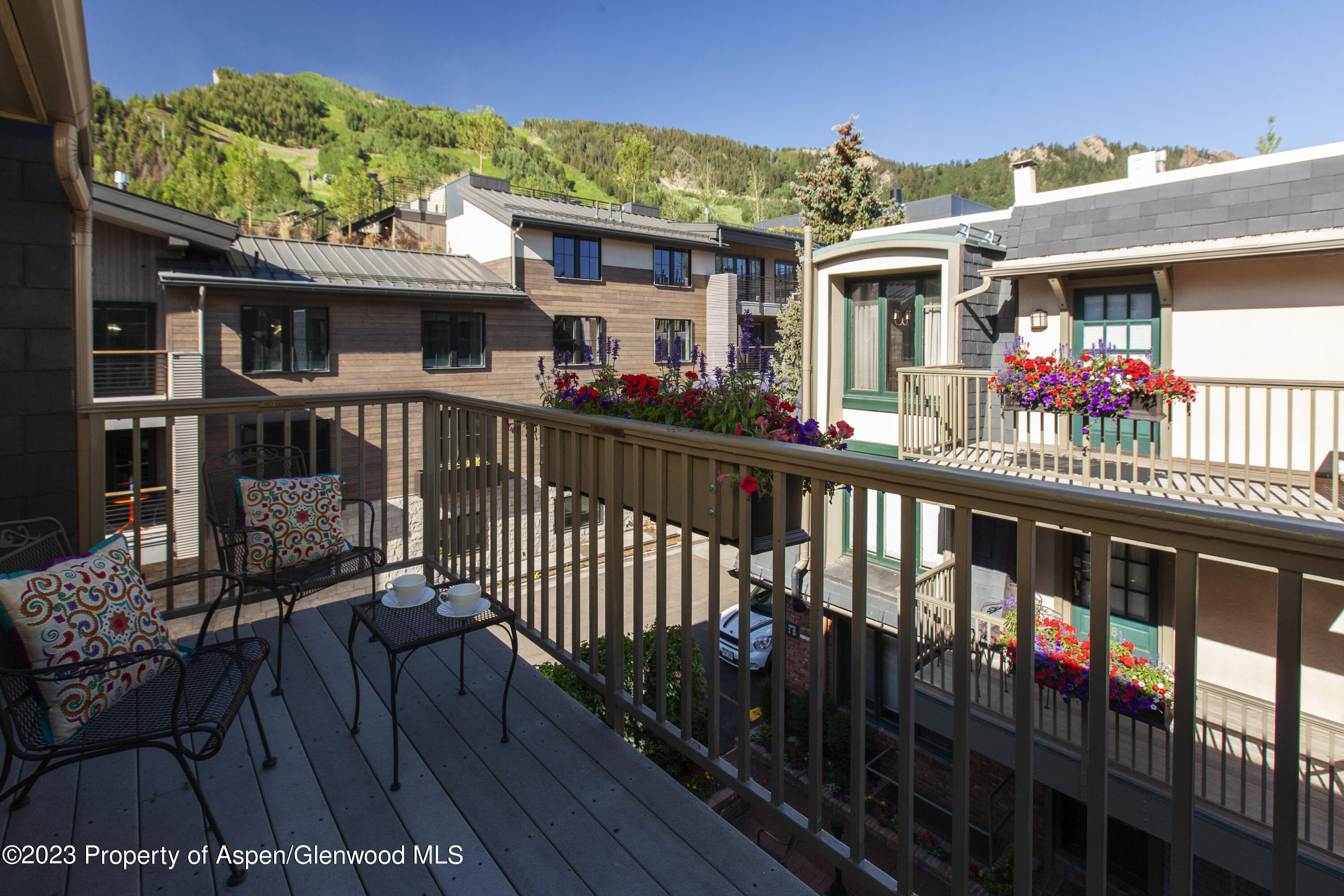 725 E Durant Avenue Aspen CO 81611