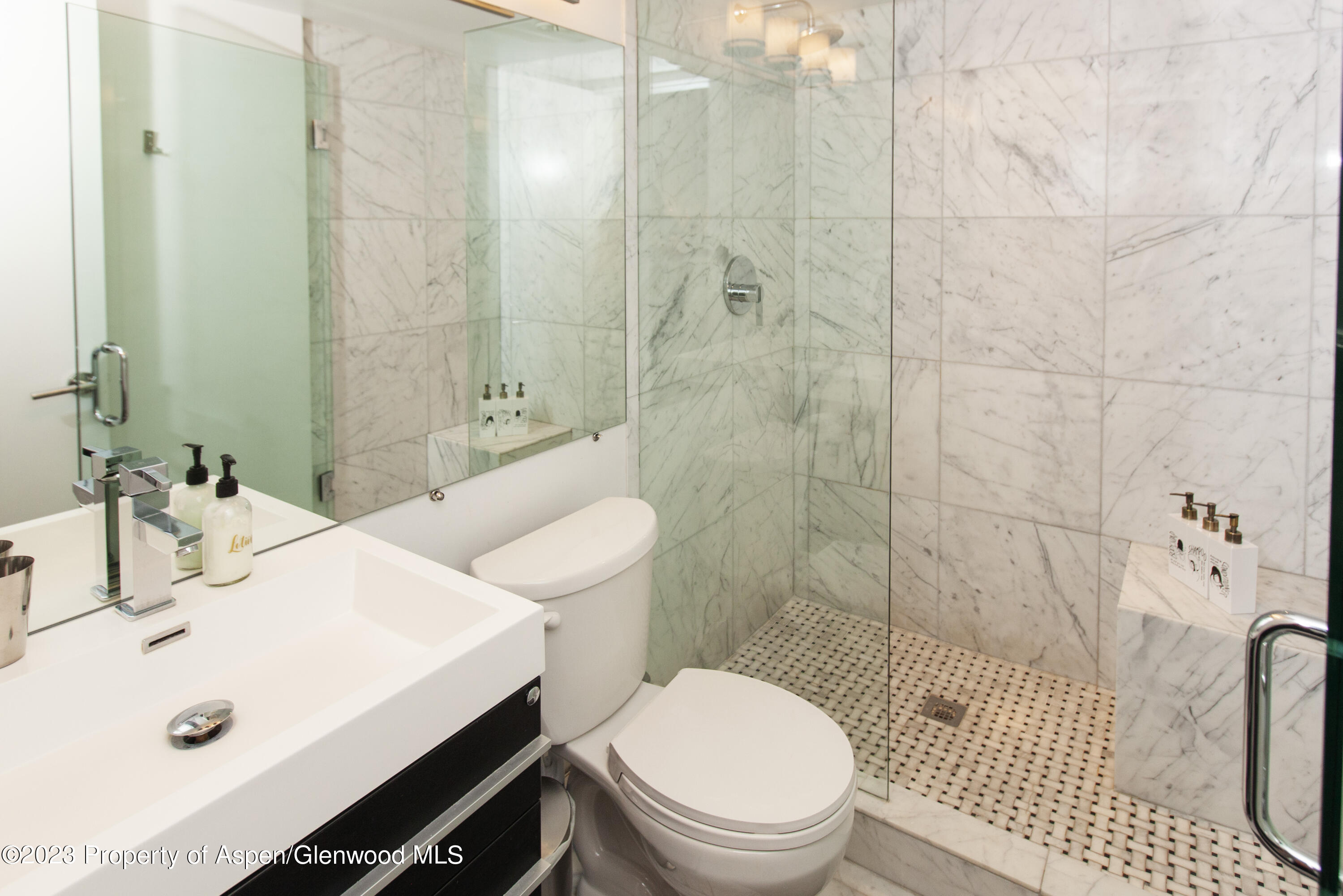 725 E Durant Avenue Aspen CO 81611