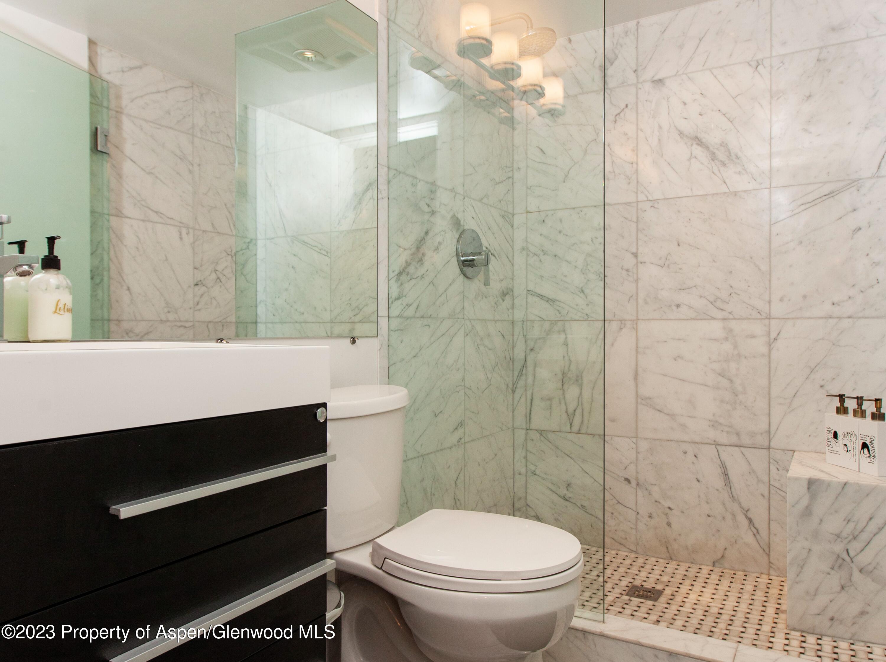 725 E Durant Avenue Aspen CO 81611