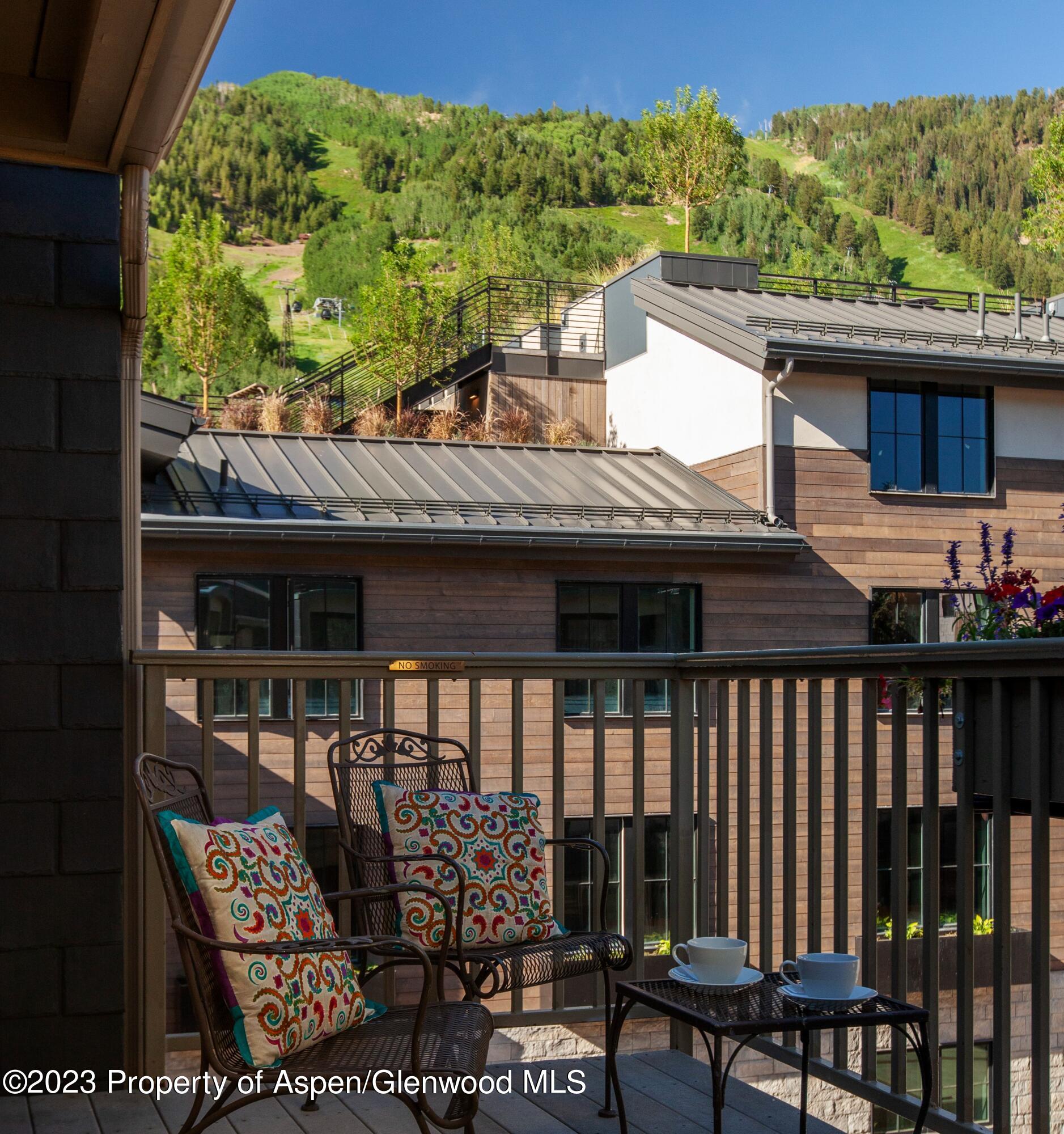 725 E Durant Avenue Aspen CO 81611
