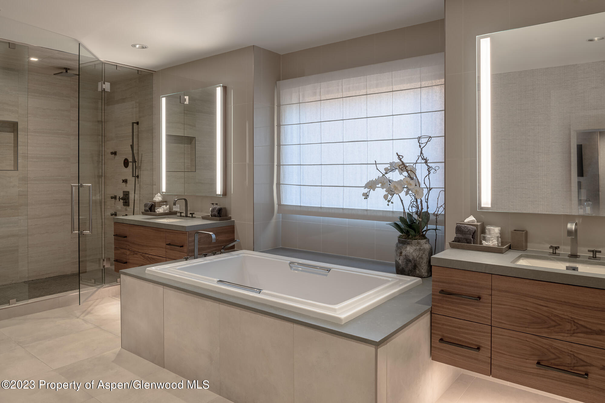 755 S Aspen Street Aspen CO 81611