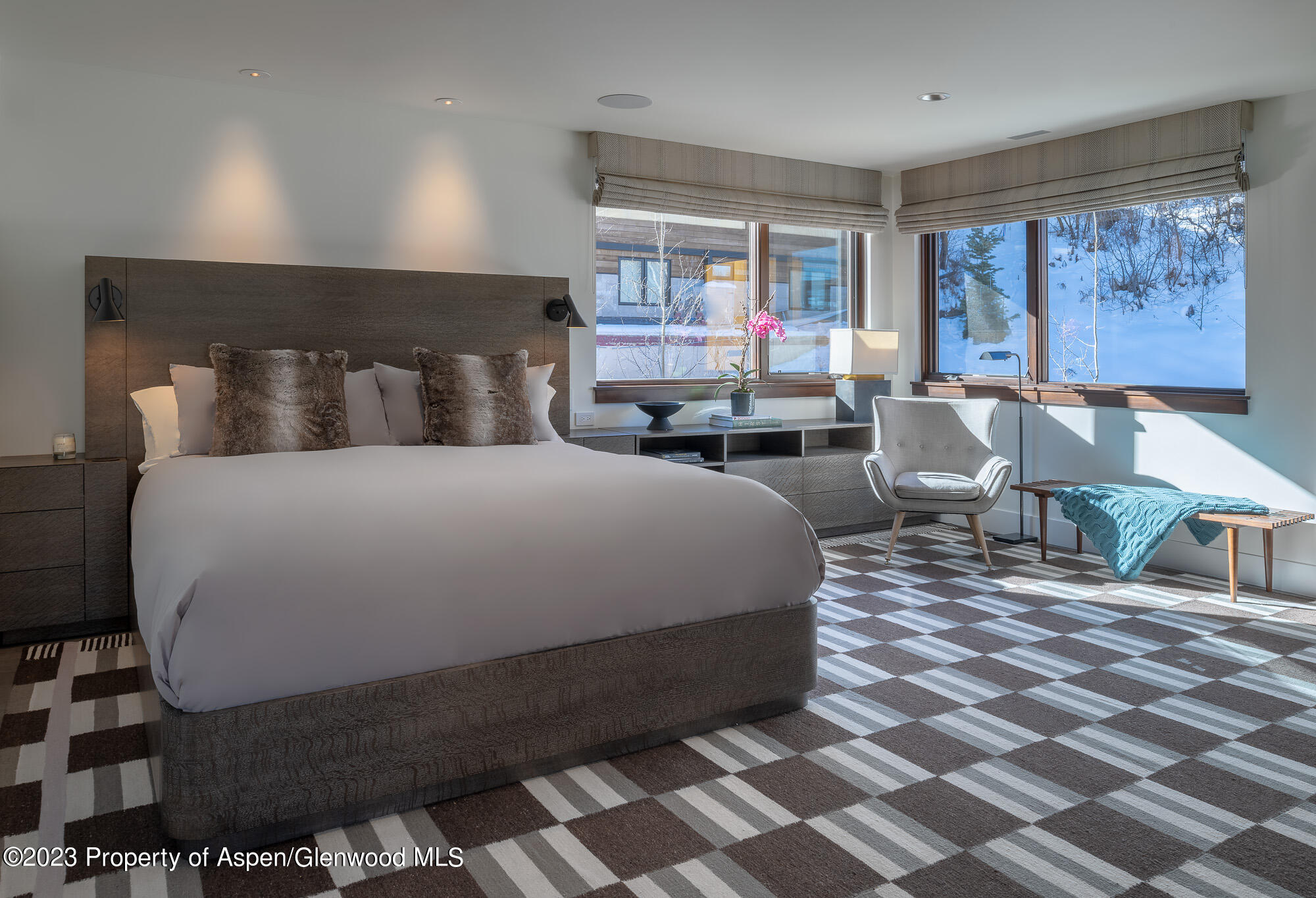 755 S Aspen Street Aspen CO 81611