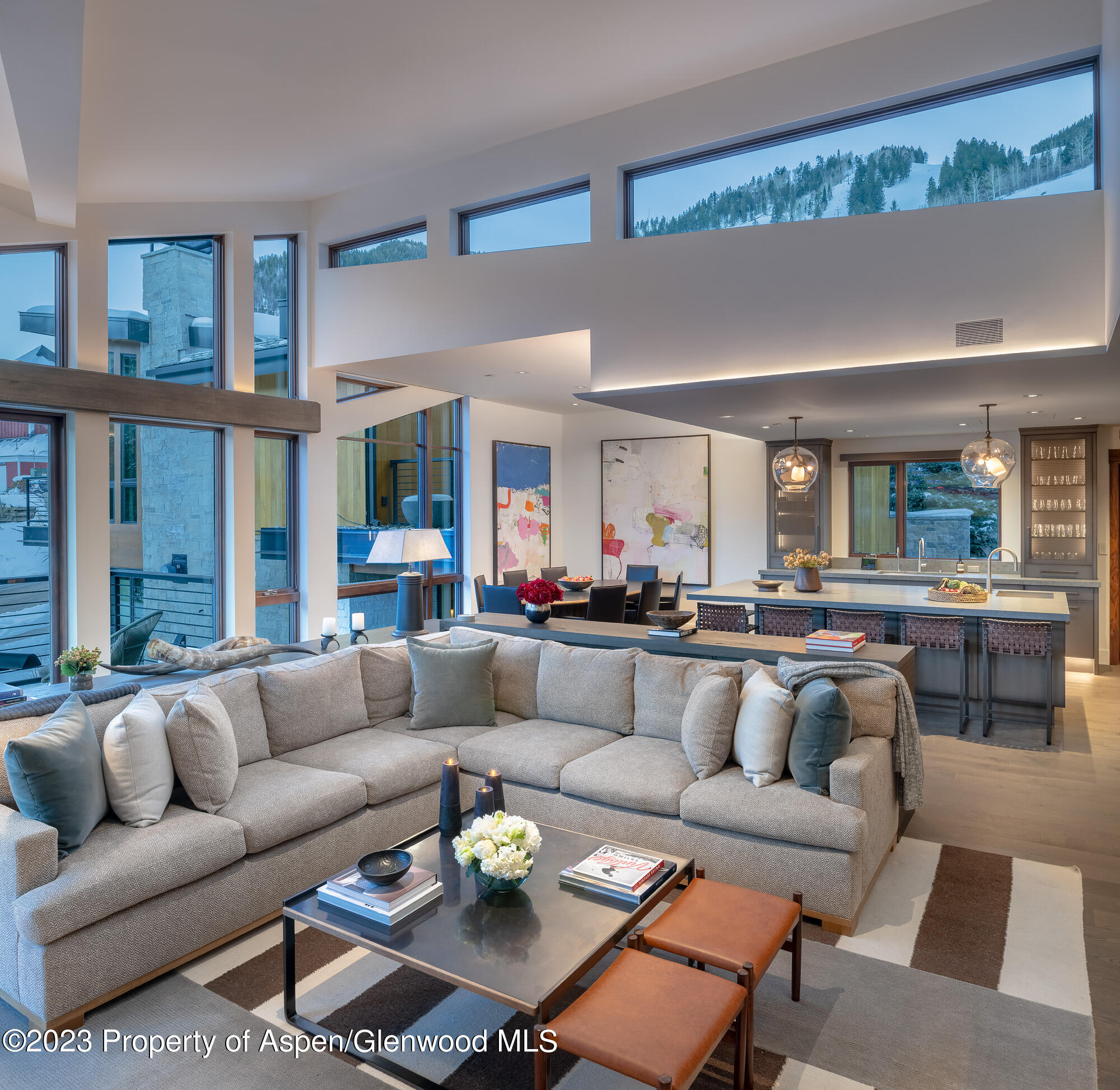 755 S Aspen Street Aspen CO 81611